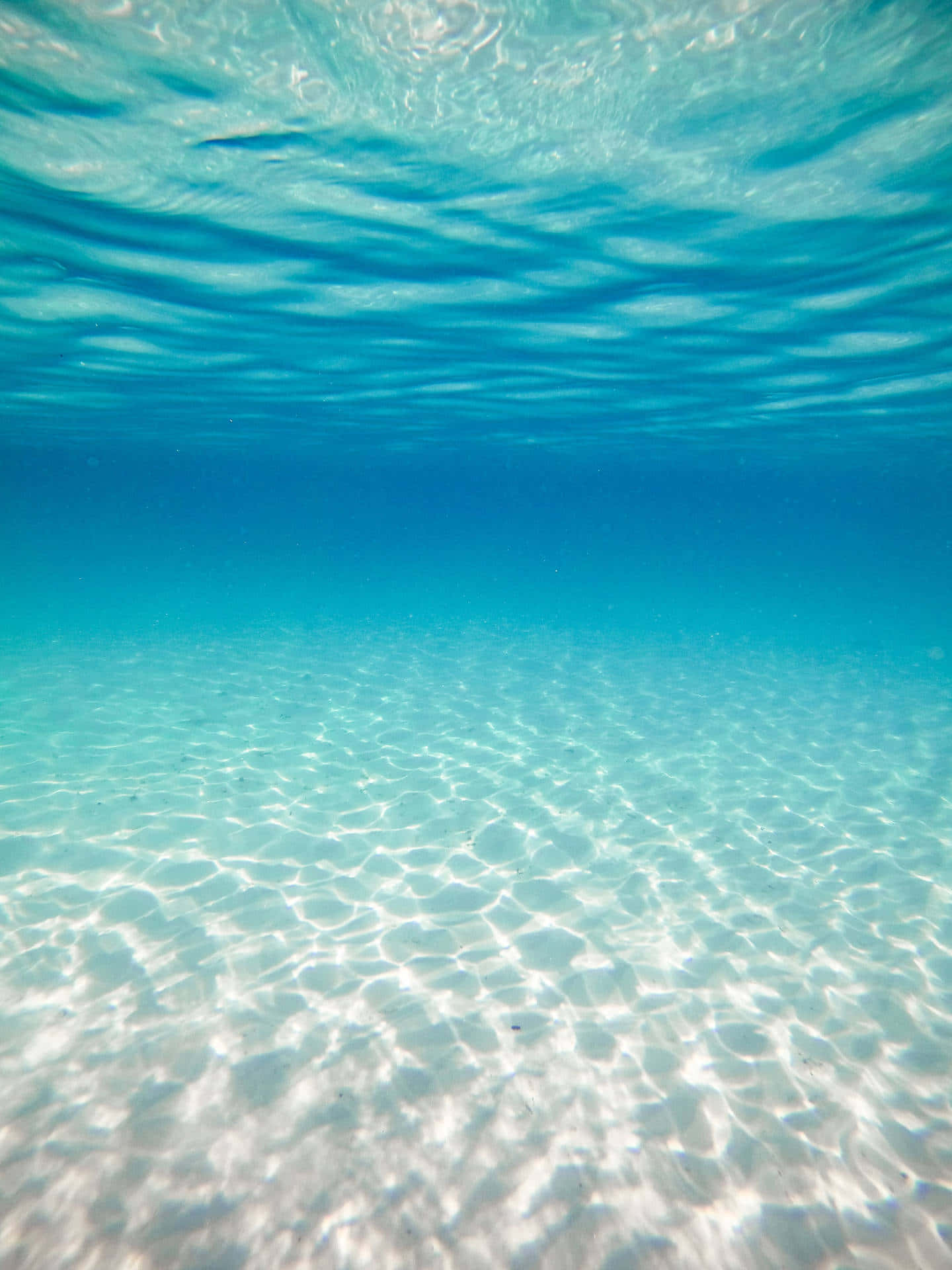 海底的海洋景觀 壁紙