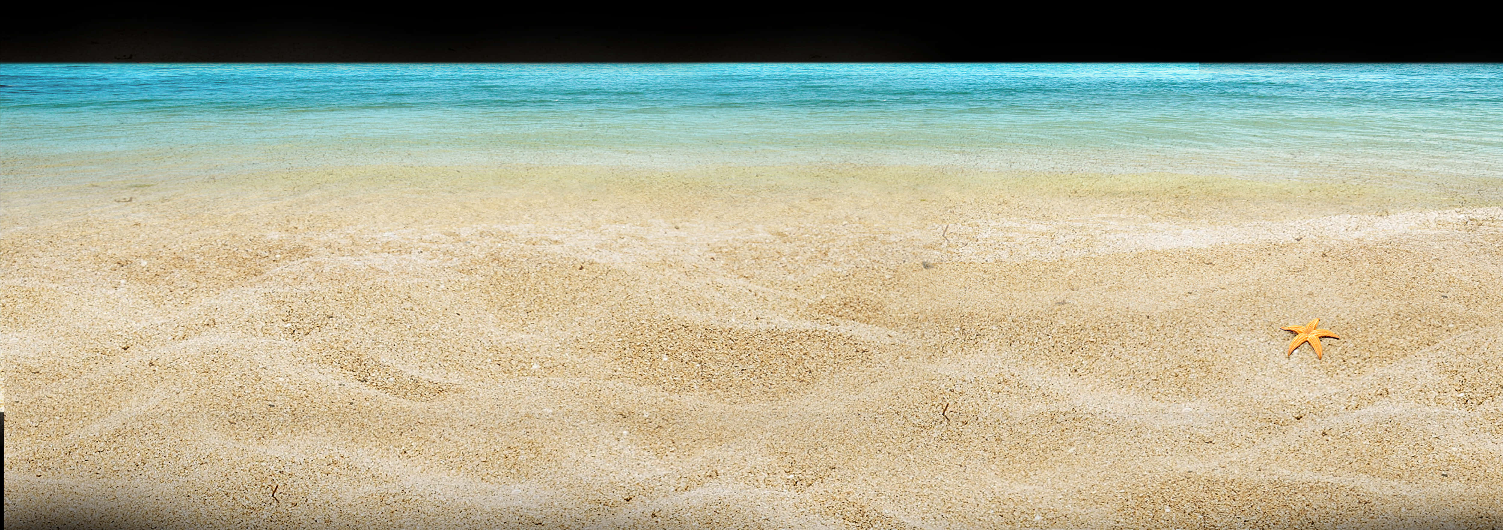 海星在沙灘上的海洋景觀 壁紙