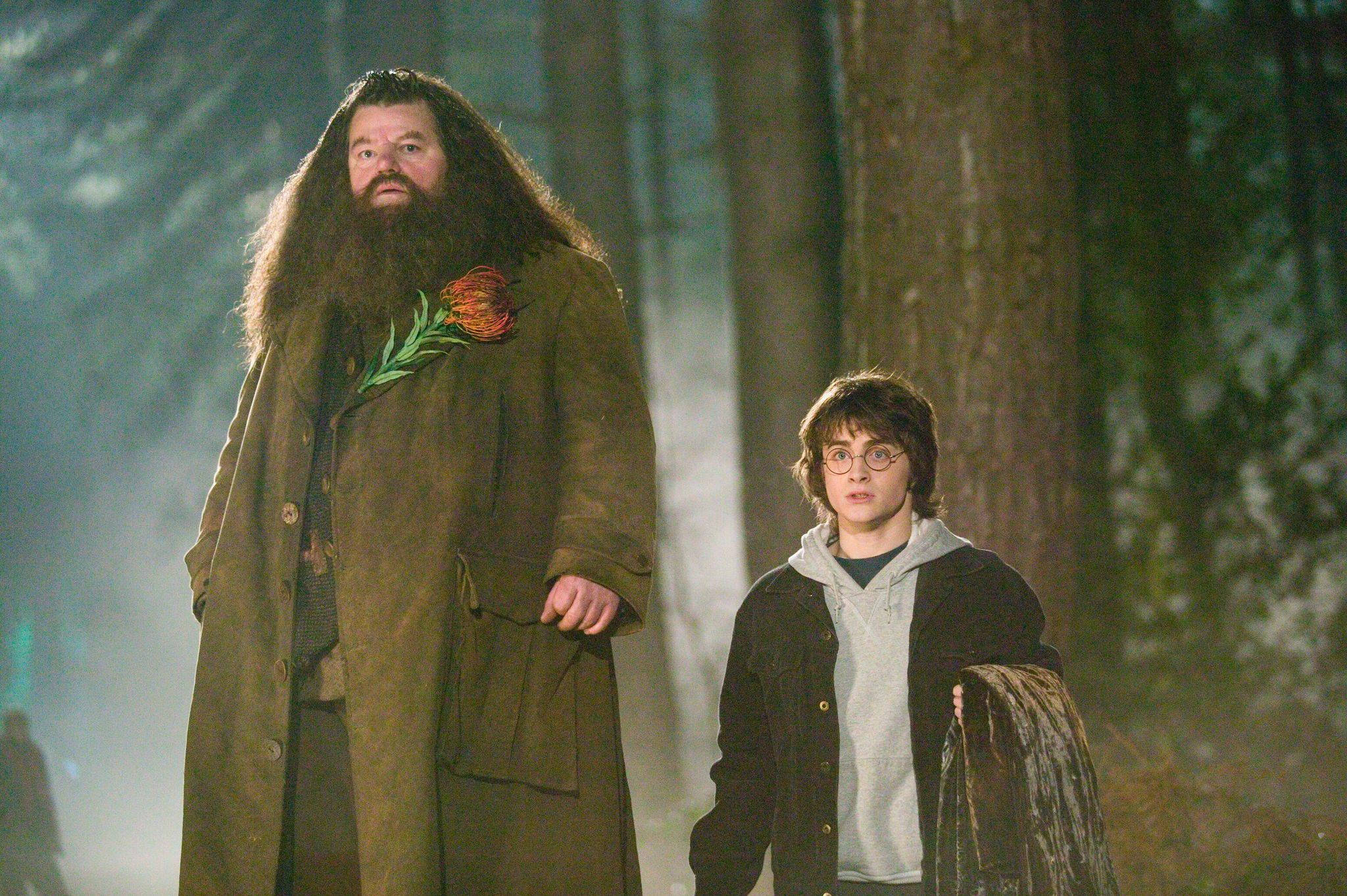 rubeus hagrid 桌布 壁紙 — 海格和哈利站在霧氣瀰漫的森林中，高大的樹木和柔和的金色光線透過樹冠灑落。