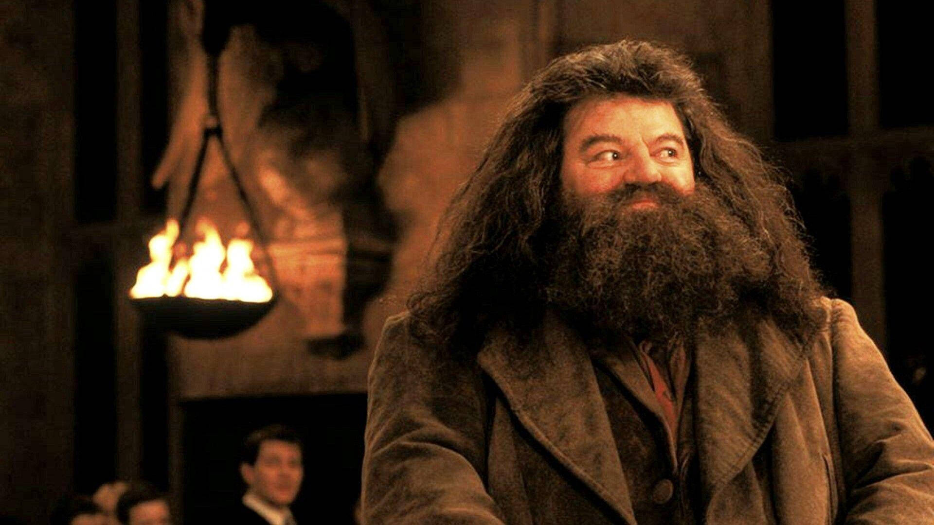 rubeus hagrid 桌布 壁紙 — 海格站在一個溫暖照明的石頭大廳裡，一個懸掛的火炬照亮了他的長髮和鬍鬚。