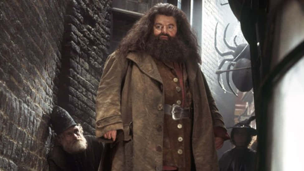 The Hogwarts Professors 桌布 壁紙 — 海格站在一條狹窄的石頭小巷中，身後牆上掛著一隻大蜘蛛。