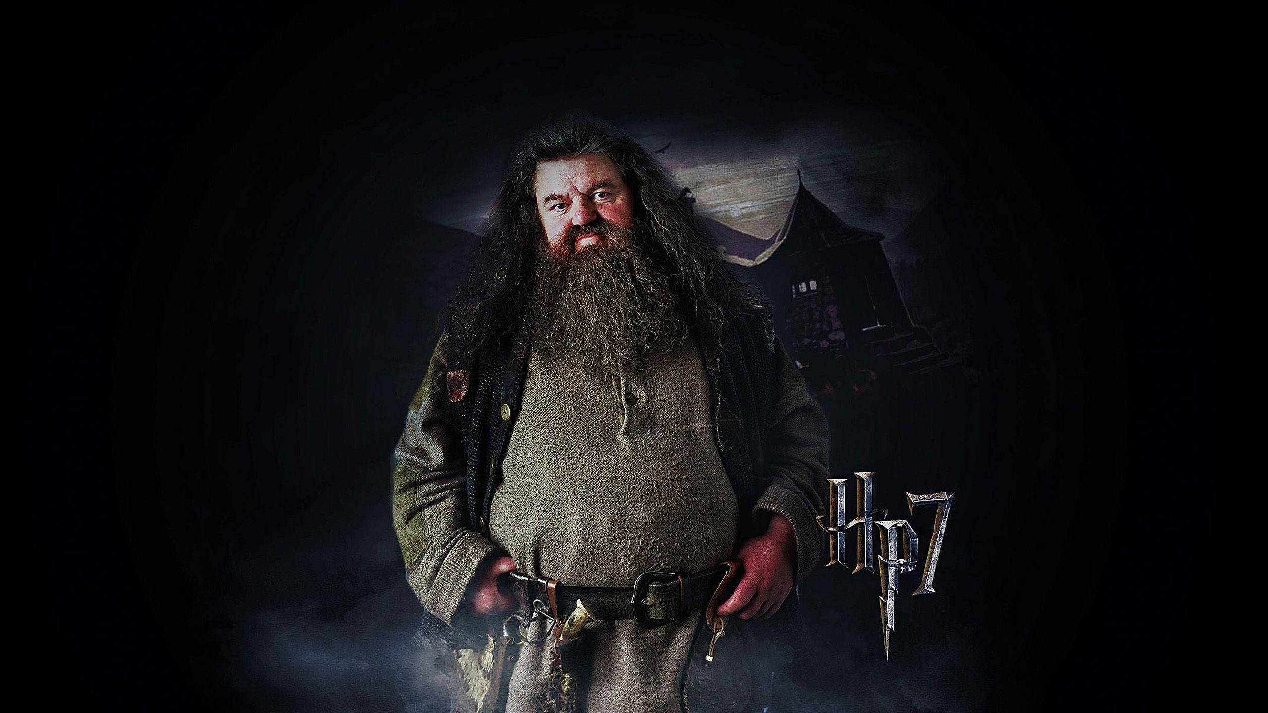rubeus hagrid 桌布 壁紙 — 海格站在一條黑暗的隧道中，身後隱約可見霍格華茲，他的鬍子和斗篷在戲劇性的燈光下閃耀。
