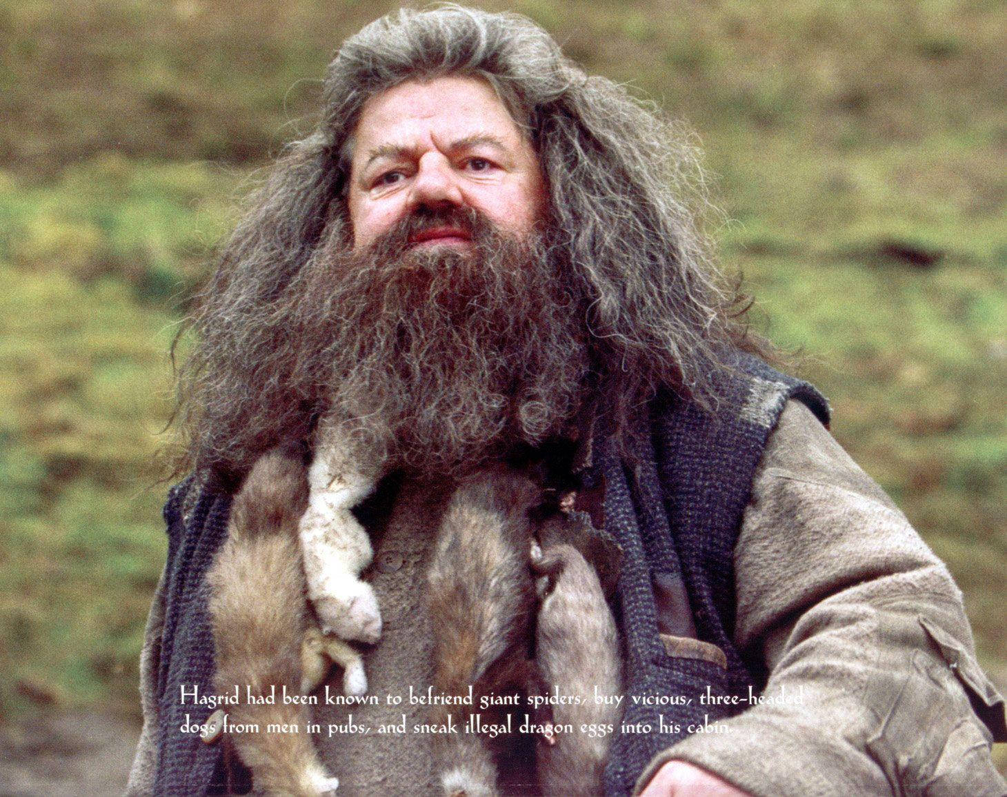 rubeus hagrid 桌布 壁紙 — 海格站在戶外，抱著一個小生物，他的長髮和鬍鬚在模糊的綠色背景下襯托出溫暖的笑容。