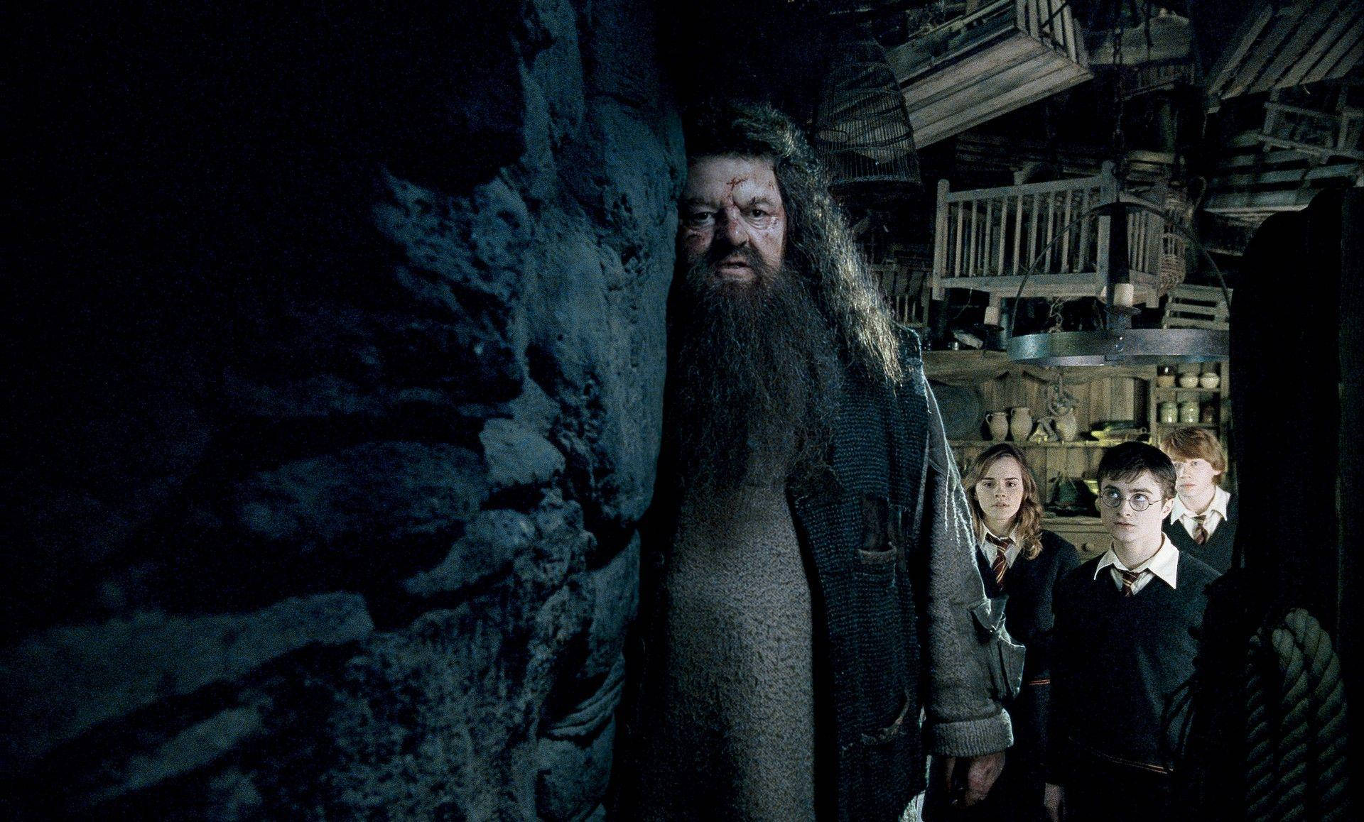 rubeus hagrid 桌布 壁紙 — 海格站在昏暗的石頭走廊中，哈利、妙麗和榮恩在他身後，這是哈利波特電影中的緊張時刻。