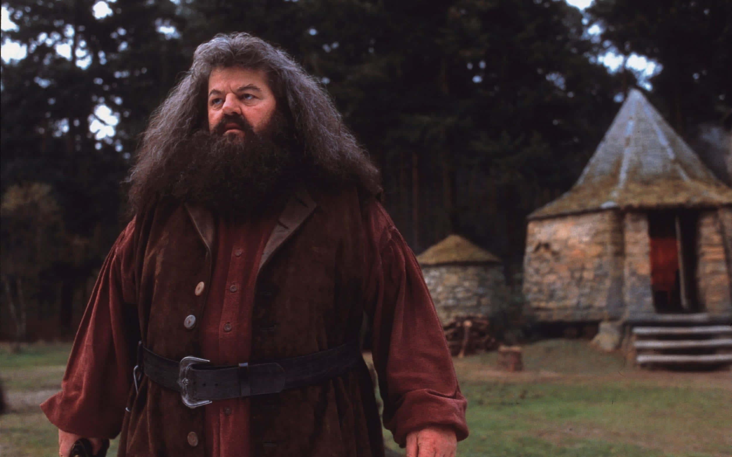 The Hogwarts Professors 桌布 壁紙 — 海格站在石屋附近的森林空地，身穿棕色長袍和黑色腰帶，表情嚴肅。