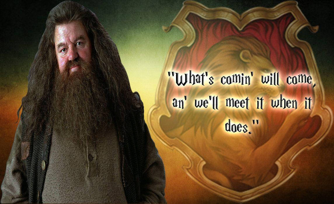 rubeus hagrid 桌布 壁紙 — 海格站在葛萊芬多的徽章旁，留著標誌性的長鬍鬚，穿著粗獷的服裝，背景溫暖而發光。
