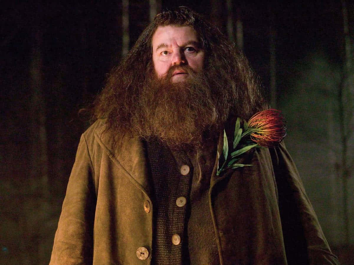 The Hogwarts Professors 桌布 壁紙 — 海格站在黑暗的森林中，身穿棕色外套，翻領上別著一朵紅花。