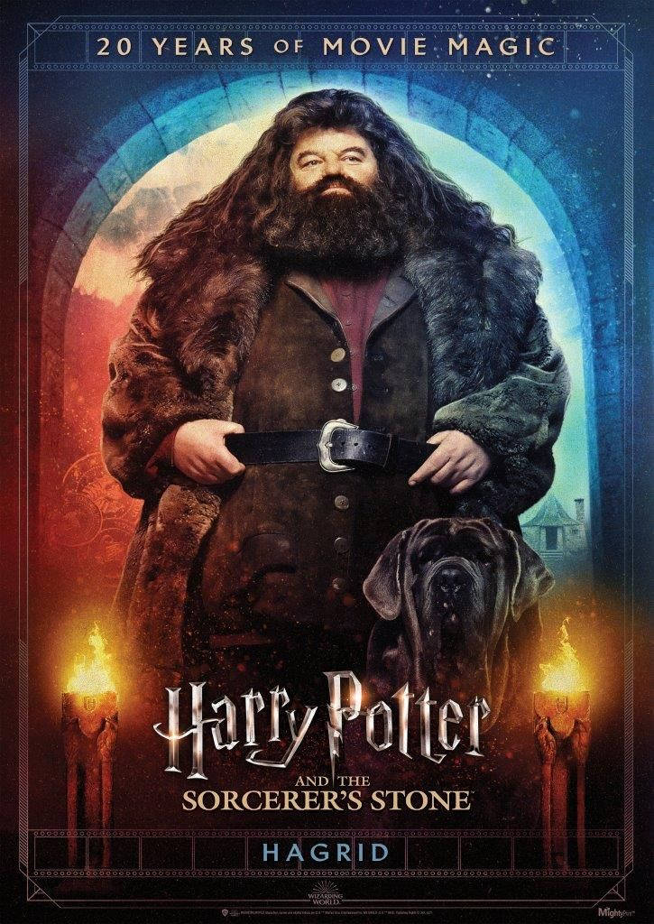 rubeus hagrid 桌布 壁紙 — 海格自豪地站在一個魔法拱門下，他的狗在他身邊，發光的蠟燭照亮了場景。