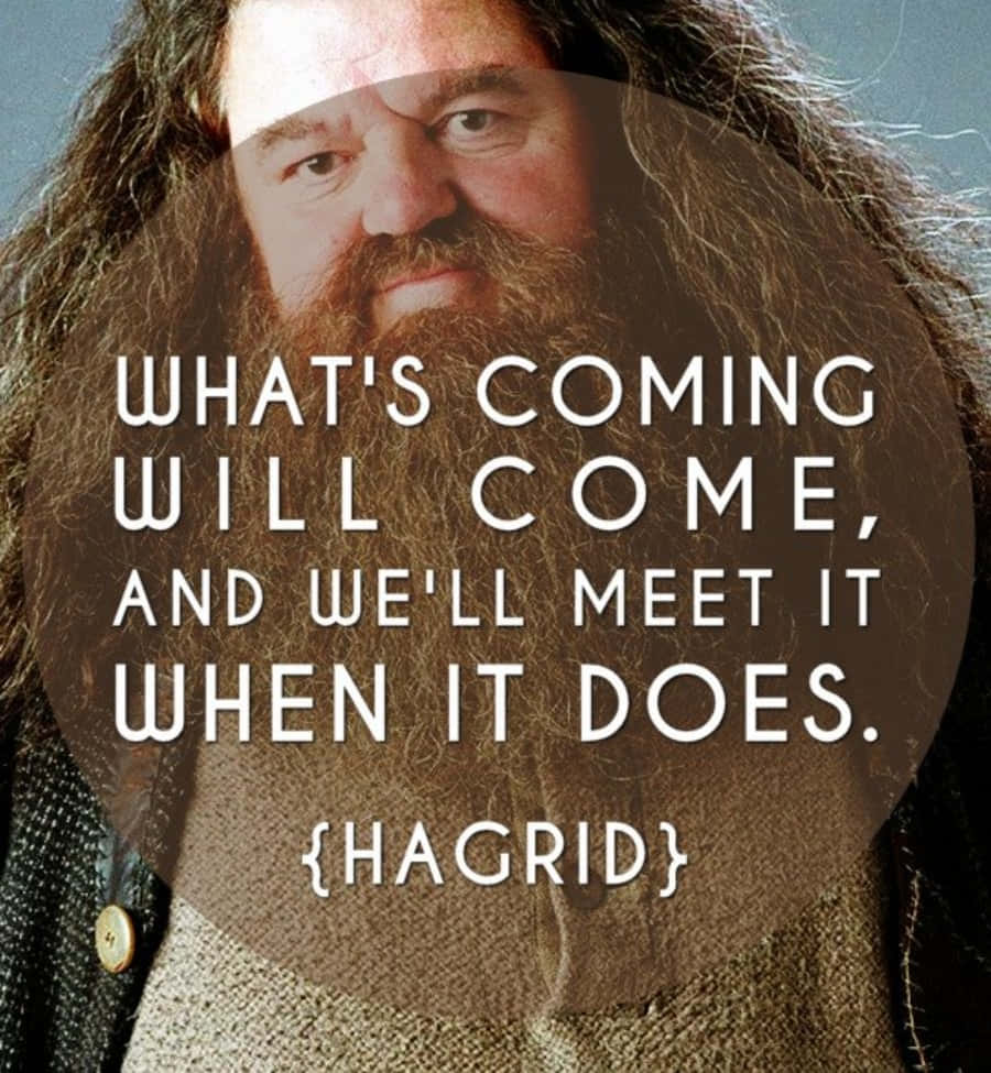 Harry Potter Quotes 桌布 壁紙 — 海格長髮鬍鬚的特寫，半透明圓圈上以粗體白色文字疊加他的語錄。