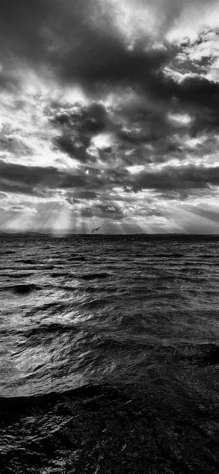 海洋上空多雲天空的黑白照片 壁紙