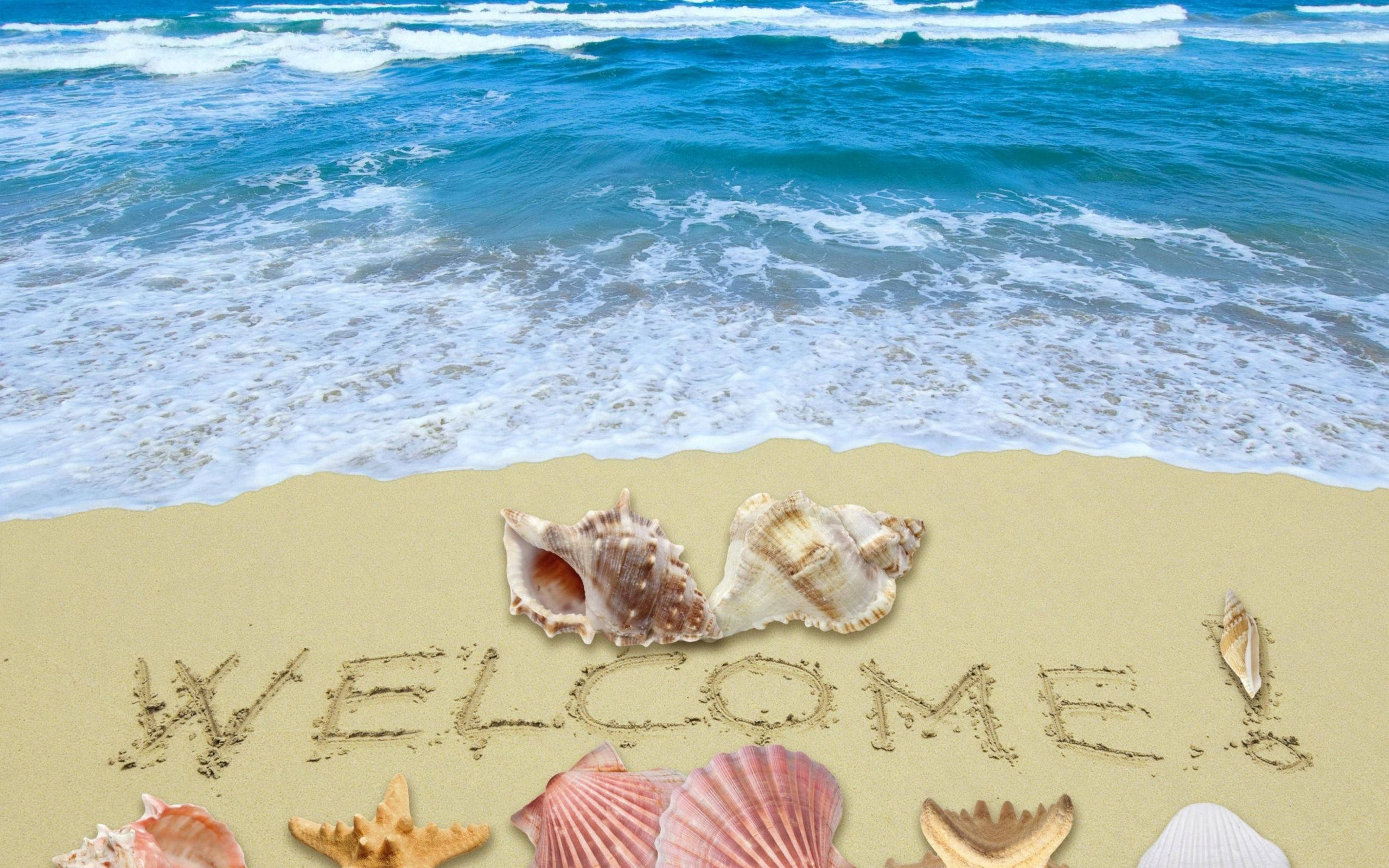 Welcome 桌布 壁紙 — 海浪衝上沙灘，沙灘上寫著「WELCOME」，周圍環繞著色彩繽紛的貝殼和海星。