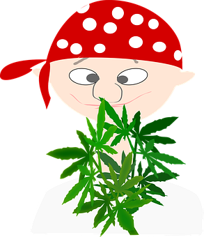 海盜卡通與大麻葉 壁紙