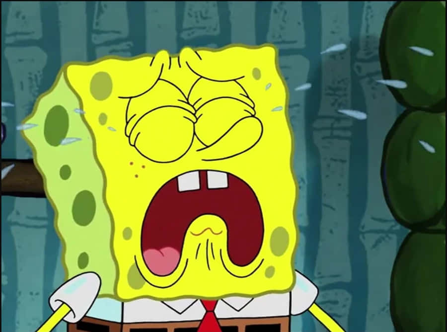 spongebob sad 桌布 壁紙 — 海綿寶寶在昏暗的水下環境中，睜大眼睛、汗水飛濺，恐懼地尖叫。