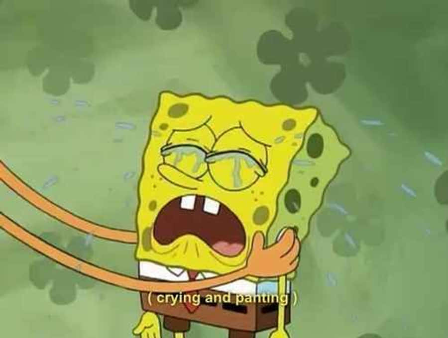 spongebob sad 桌布 壁紙 — 海綿寶寶在綠色海底背景下，以誇張的表情哭泣和喘氣。