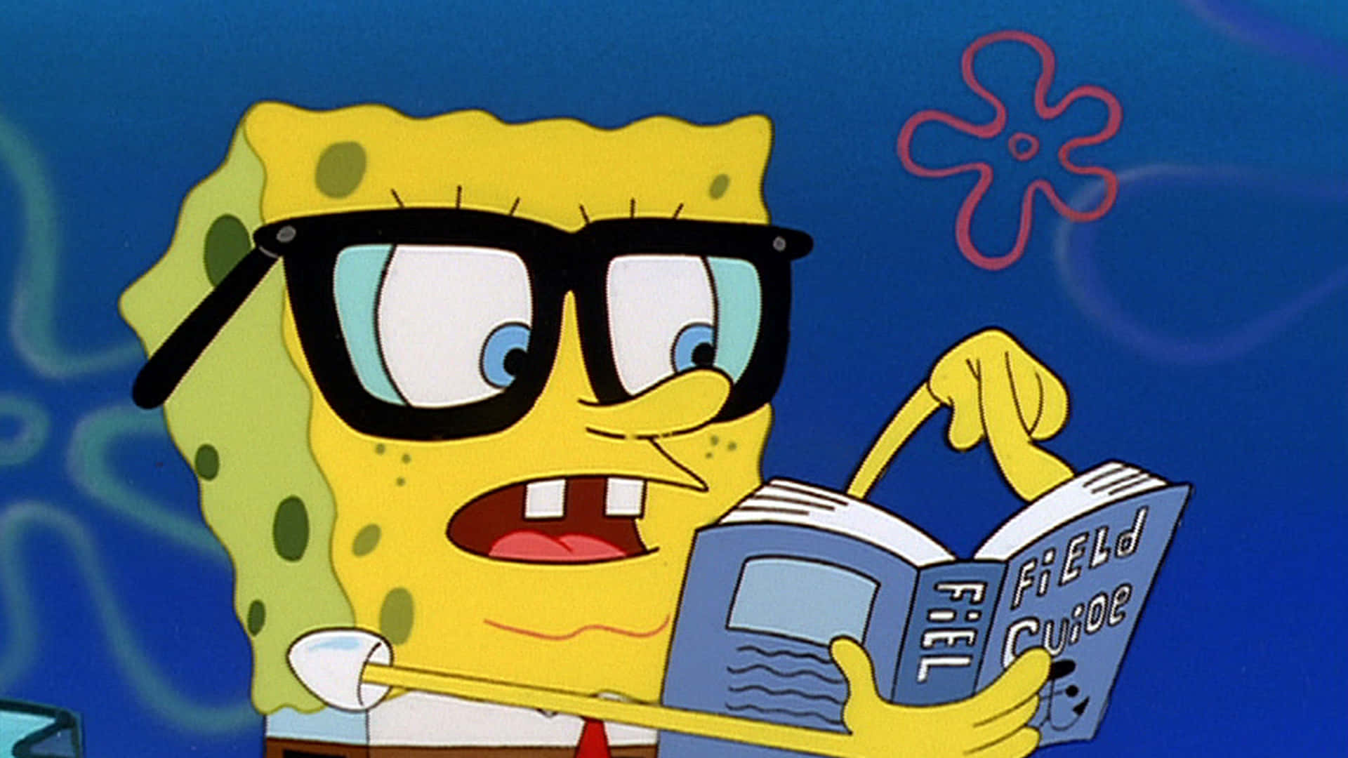 Spongebob Characters 桌布 壁紙 — 海綿寶寶戴著厚眼鏡，在藍色水下背景中睜大眼睛驚訝地閱讀野外指南。