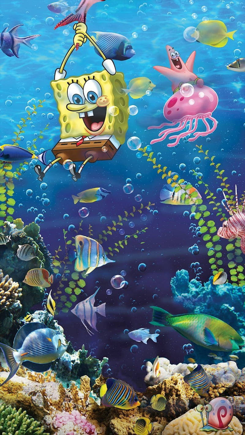 海綿寶寶在水底掛在一個水桶上，周圍有魚和珊瑚。 — 魚 GIF 壁紙