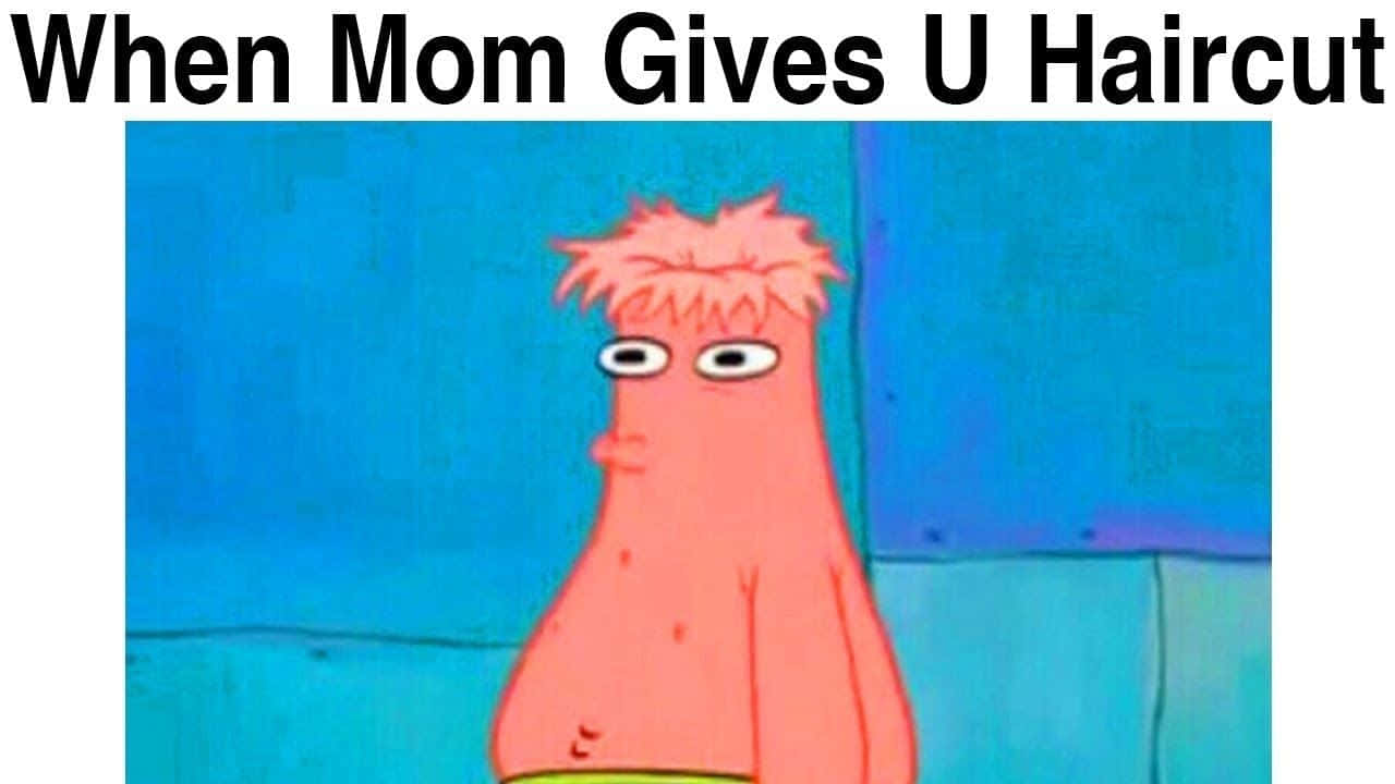 Memes 桌布 壁紙 — 海綿寶寶頭髮凌亂，對著藍色瓷磚牆茫然凝視。