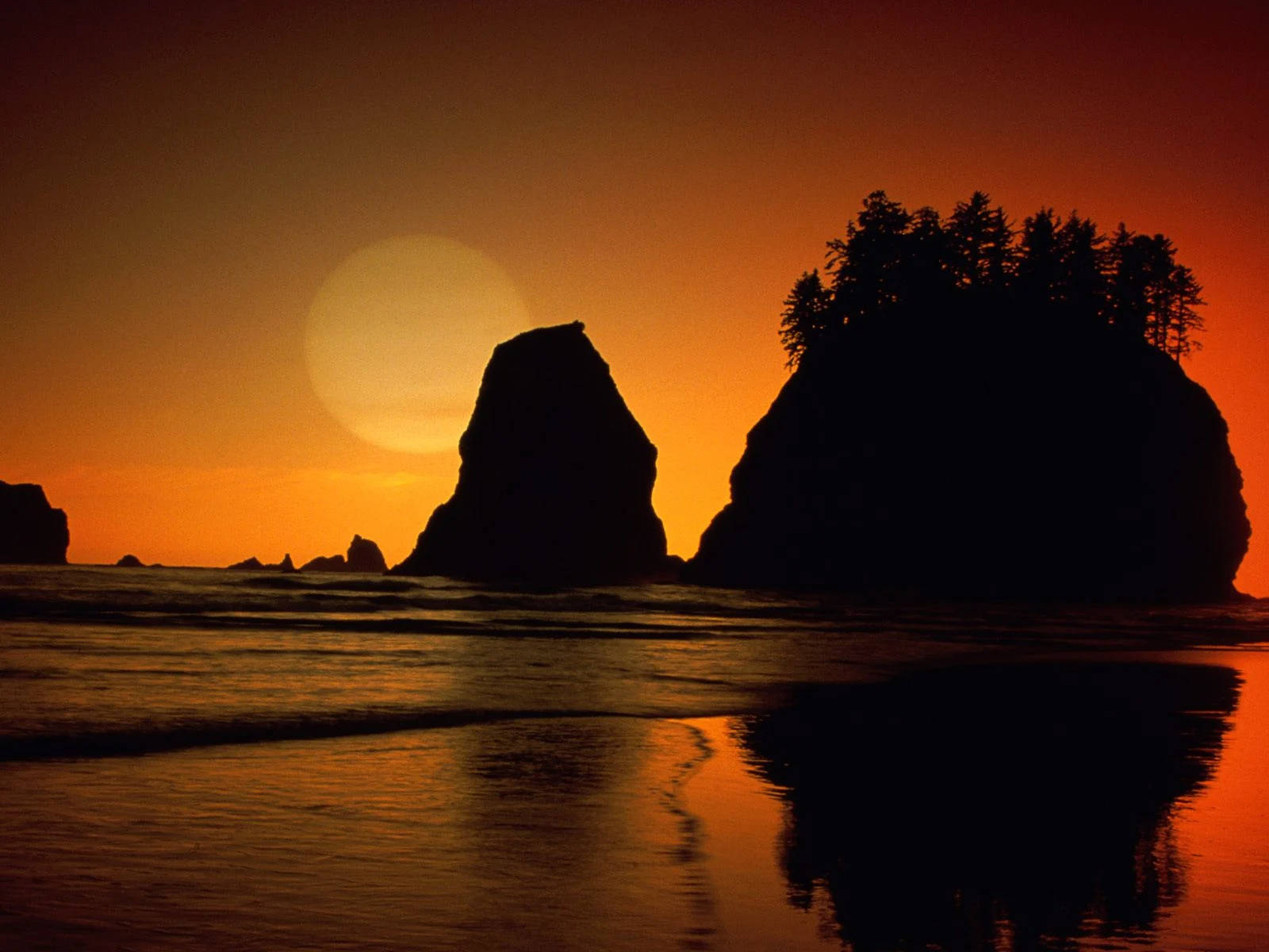 Forks 桌布 壁紙 — 海蝕柱和樹木的剪影聳立在火橙色夕陽前，夕陽倒映在濕沙上。