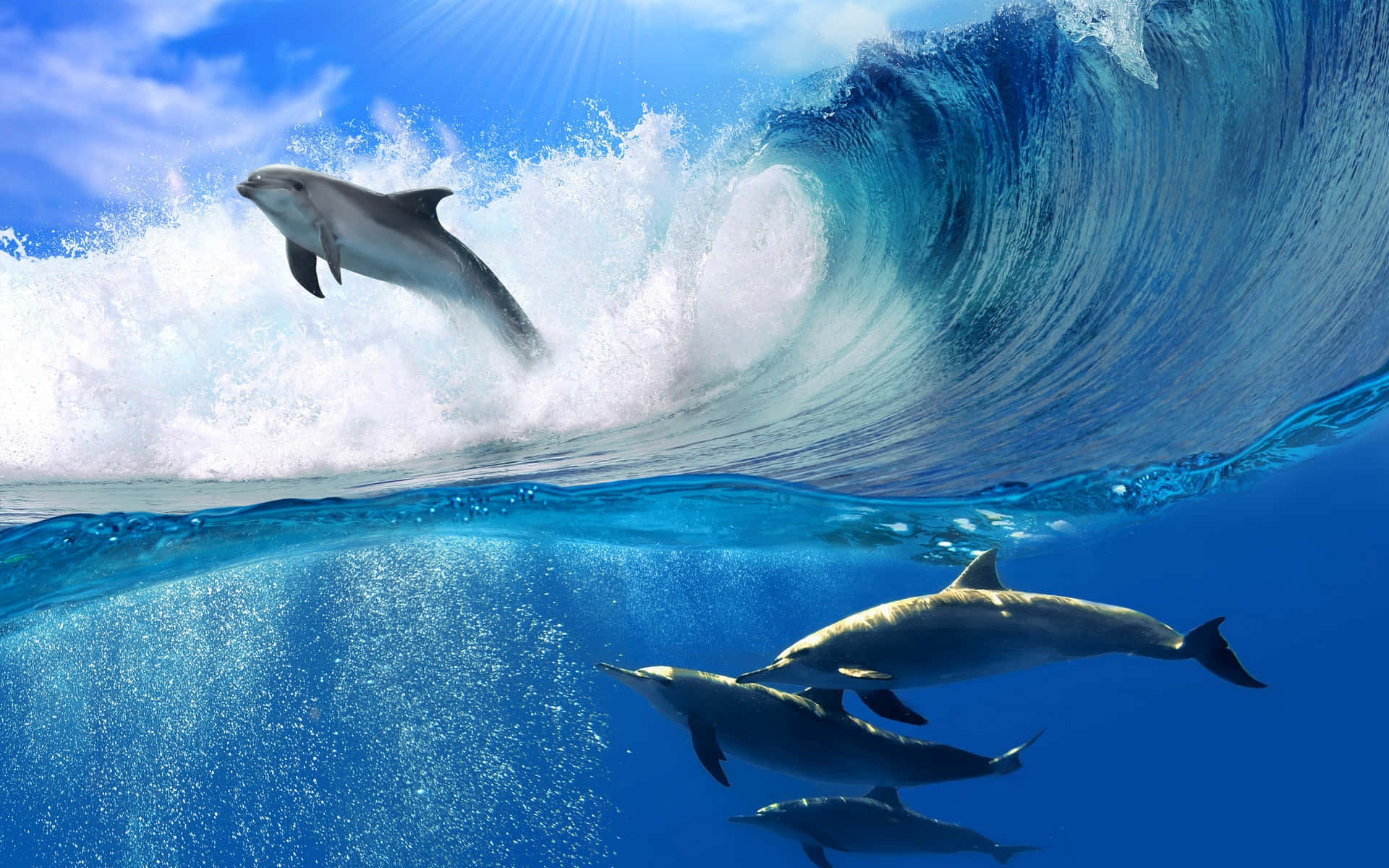 dolphins 桌布 壁紙 — 海豚在明亮的藍天和清澈的碧綠海水下，穿過巨大的海浪跳躍和滑行。