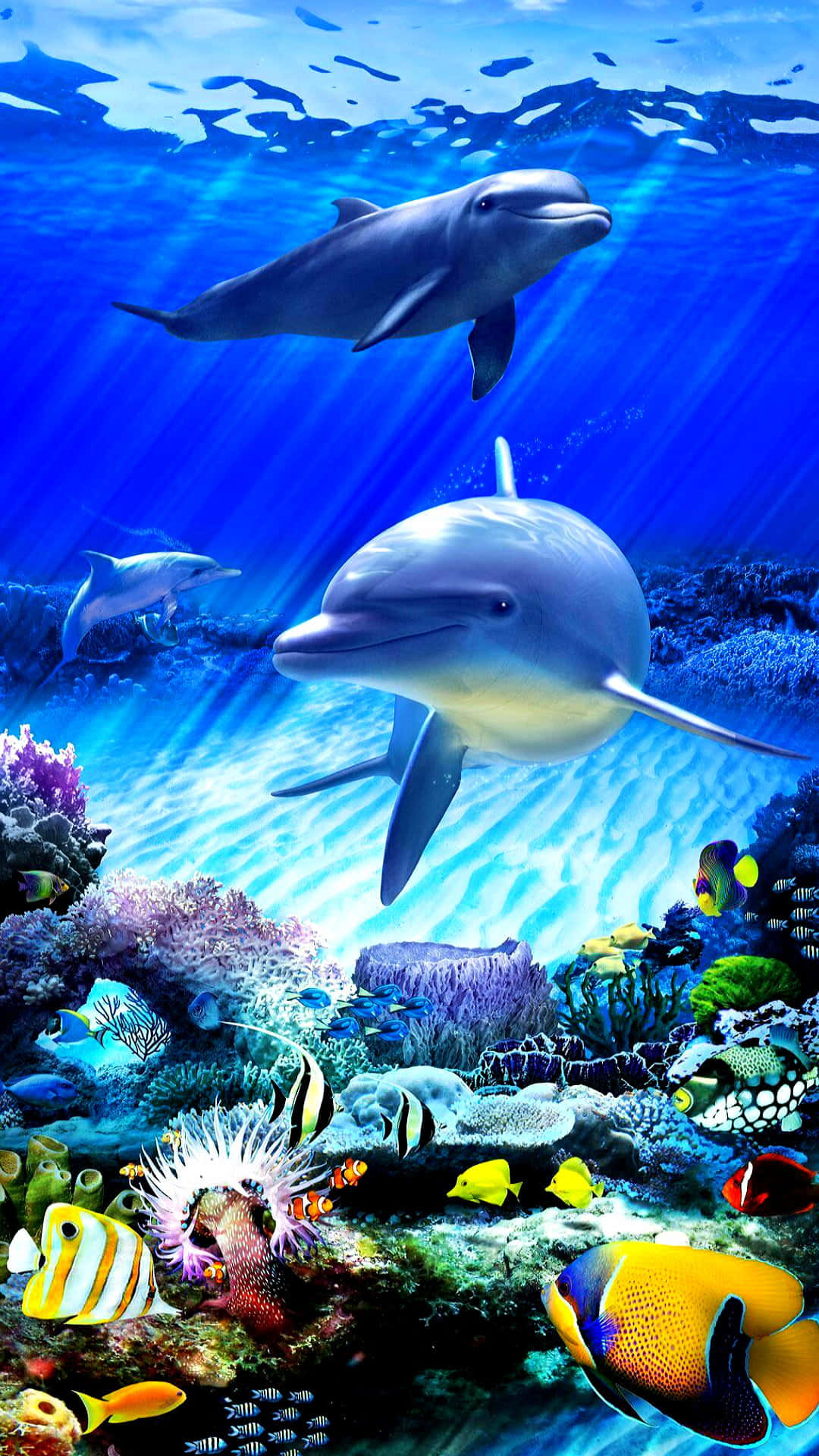 Kawaii Sea Creatures 桌布 壁紙 — 海豚在陽光普照的藍色海水中優雅地滑行，上方是充滿色彩繽紛熱帶魚的活力珊瑚礁。