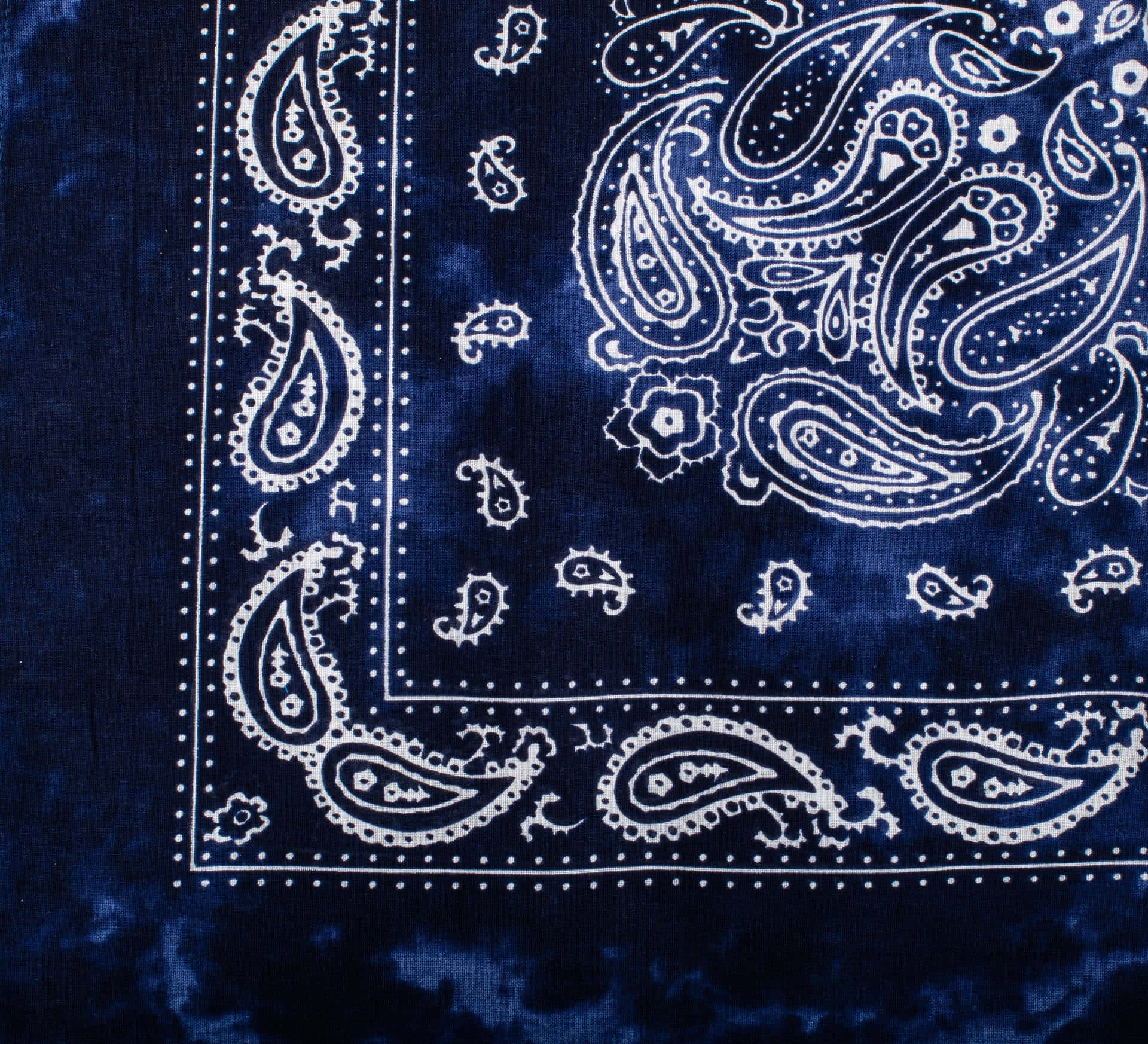 bandana 桌布 壁紙 — 海軍藍天鵝絨頭巾特寫，帶有複雜的白色佩斯利圖案和點狀邊框。