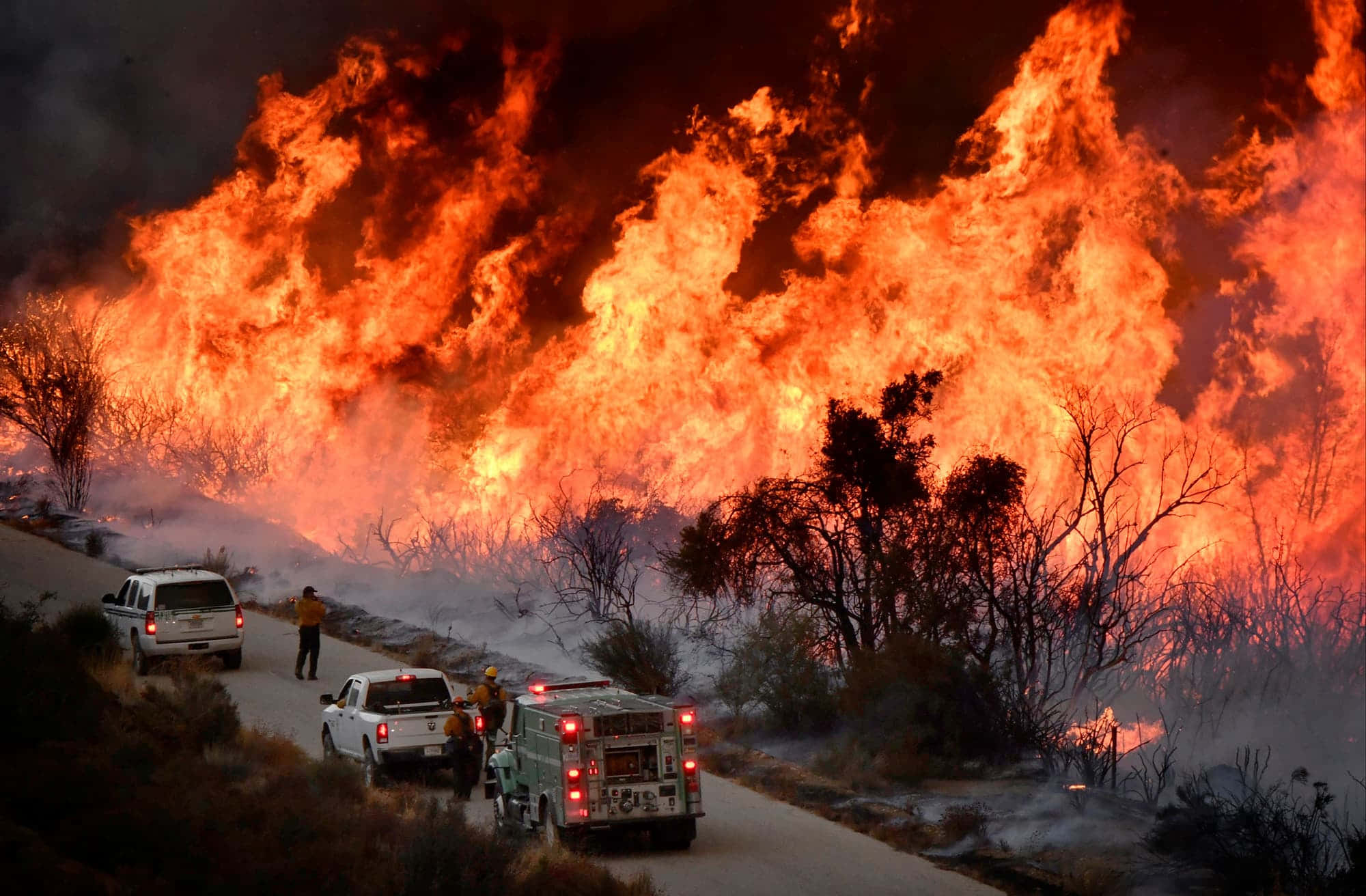 Natural Disaster 桌布 壁紙 — 消防員穿著防護裝備，在火焰沿著山坡道路與緊急車輛咆哮之際，對抗大規模野火。