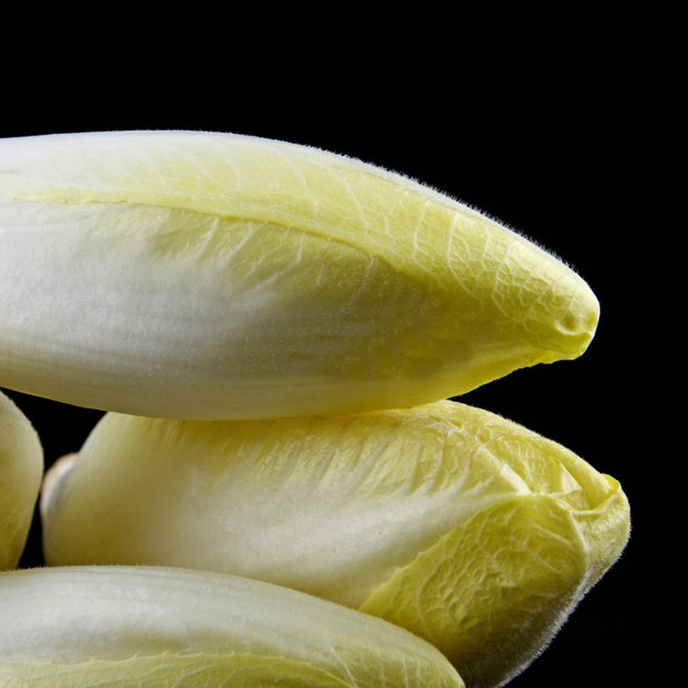 Food Photography 桌布 壁紙 — 淡黃色菊苣花蕾堆疊在純黑背景上的特寫，展現出細緻的脈絡紋理。