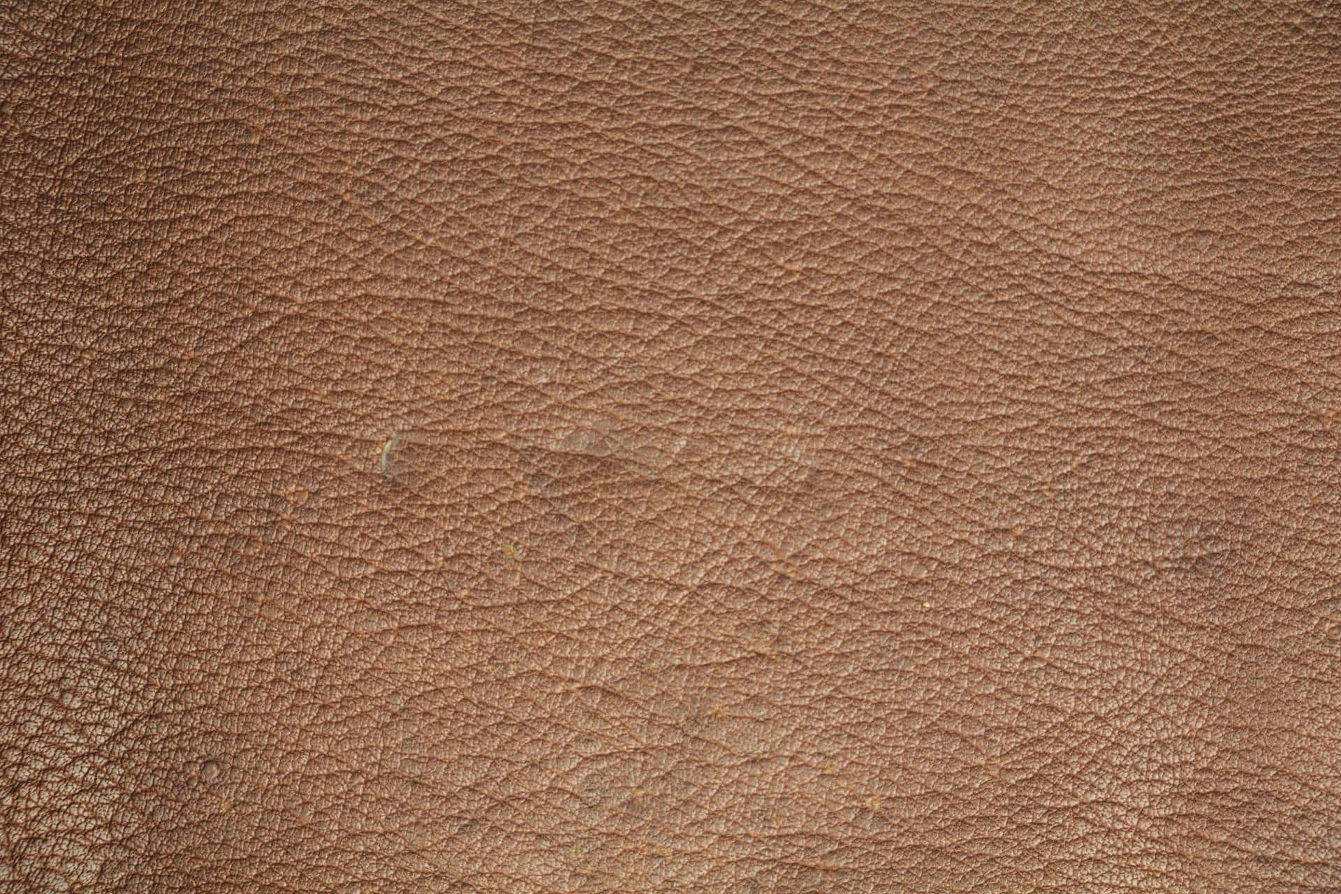 texture 桌布 壁紙 — 深棕色皮革的特寫，帶有天然紋理和細微皺褶。