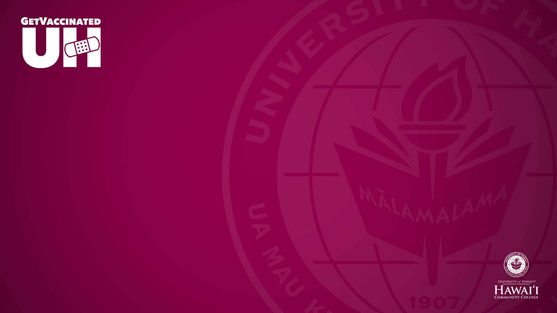 學校 桌布 壁紙 — 深洋紅色數位桌布，印有夏威夷大學印章和「Get Vaccinated UH」標誌。