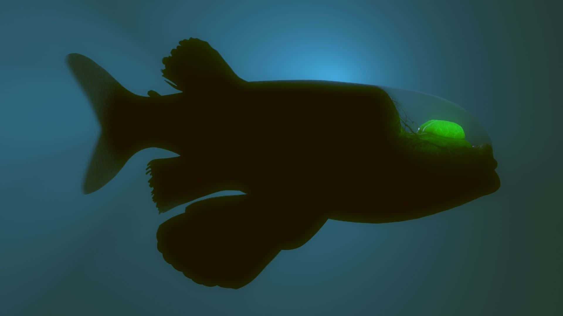 Scary Underwater 桌布 壁紙 — 深海魚的剪影，擁有發光的綠色眼睛，背景是深藍色的水下環境。
