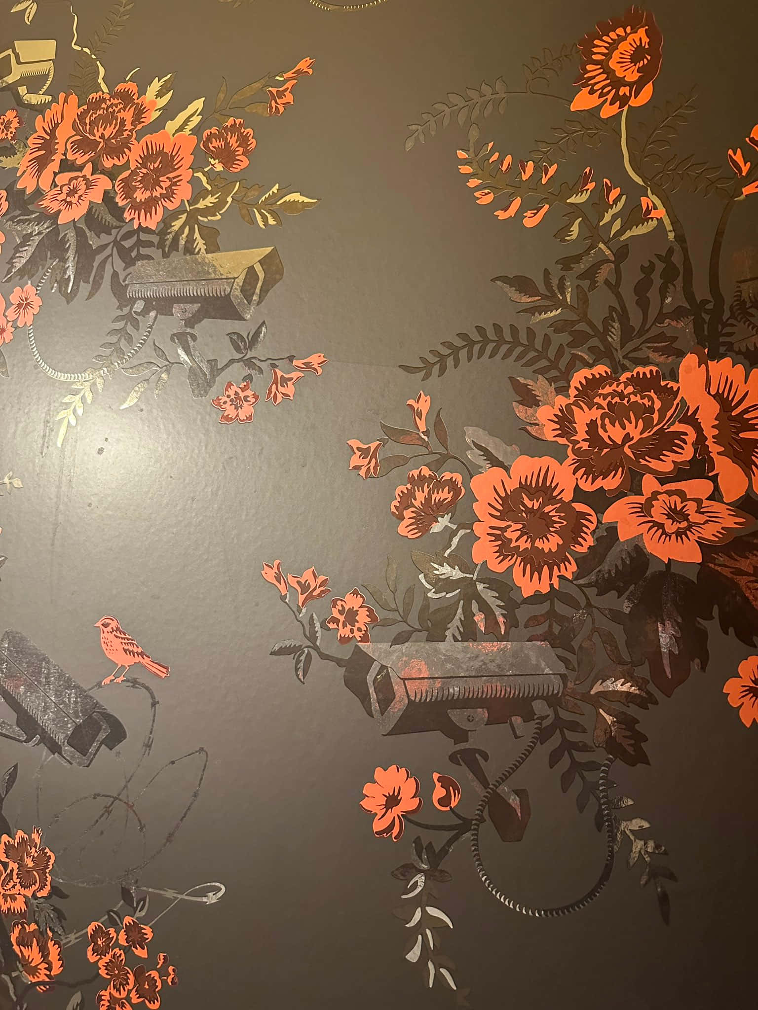 相機 桌布 壁紙 — 深灰色背景上帶有金色點綴和小鳥的鮮豔橙色花卉壁紙。