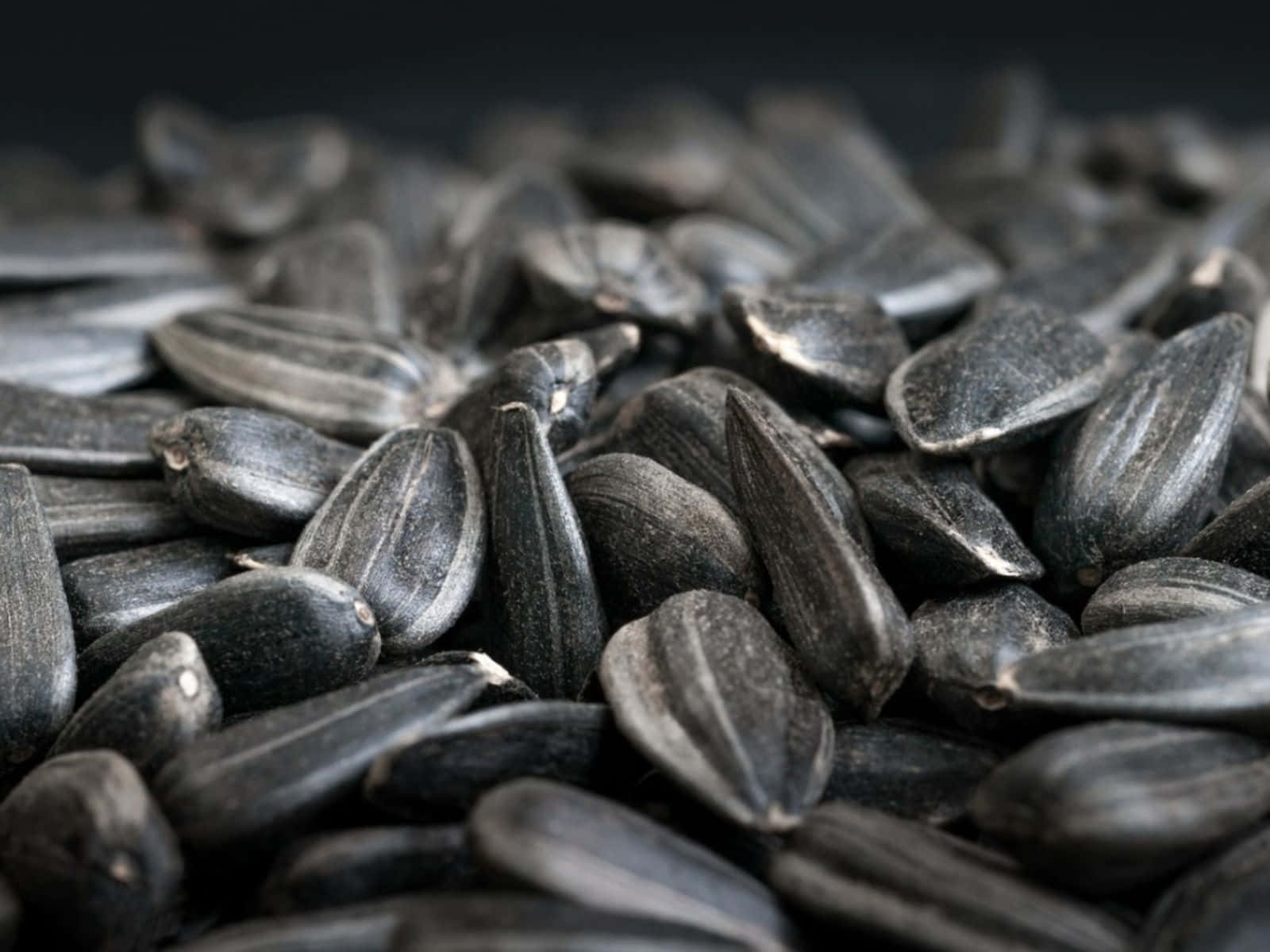Black Cumin 桌布 壁紙 — 深灰色葵花籽的特寫，帶有紋理脊線和柔和陰影，背景為黑色。