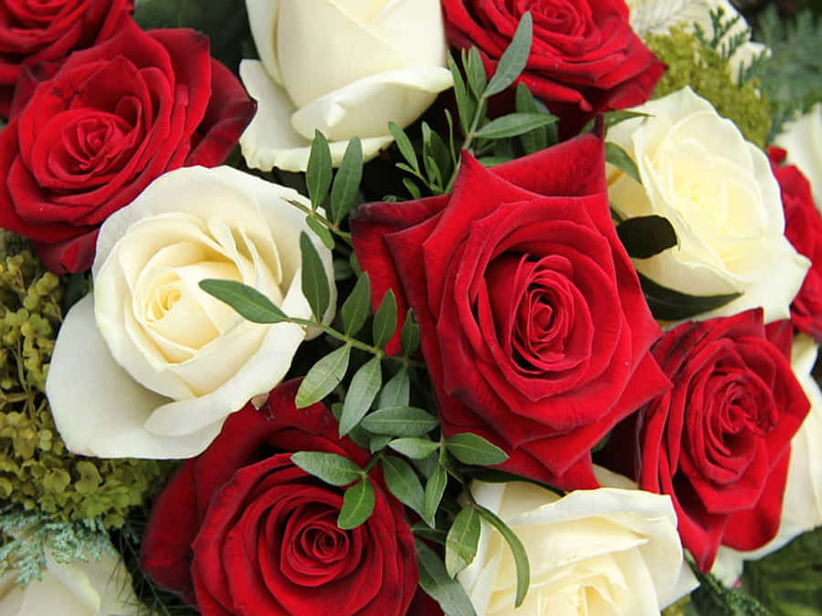 Rose Flower 桌布 壁紙 — 深紅和奶油白玫瑰與綠色葉子交織在一起的茂密花束，特寫花卉佈置。