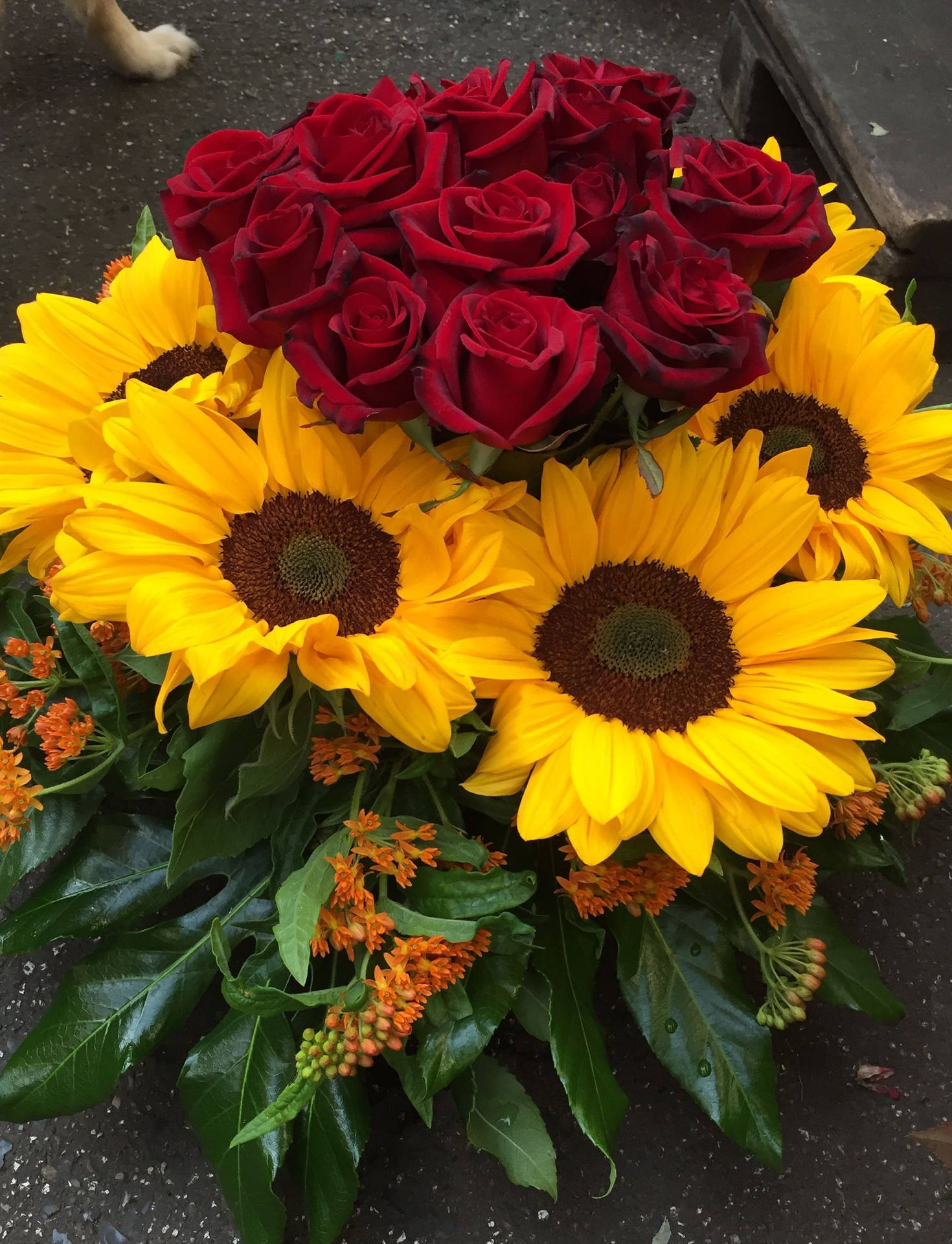 紅玫瑰和黃向日葵搭配橙色花朵和綠葉，在路面上的花束。 — 向日葵 GIF 壁紙