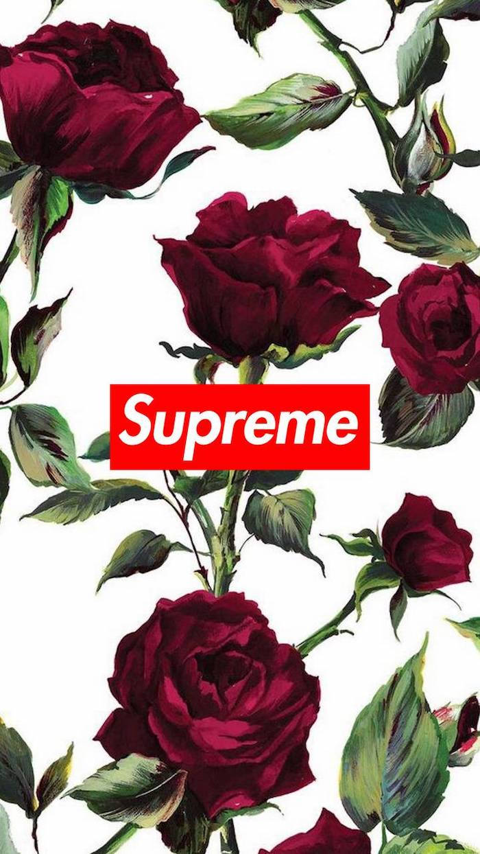 supreme 桌布 壁紙 — 深紅玫瑰配綠葉襯托出大膽的紅色Supreme標誌，背景為純白色。