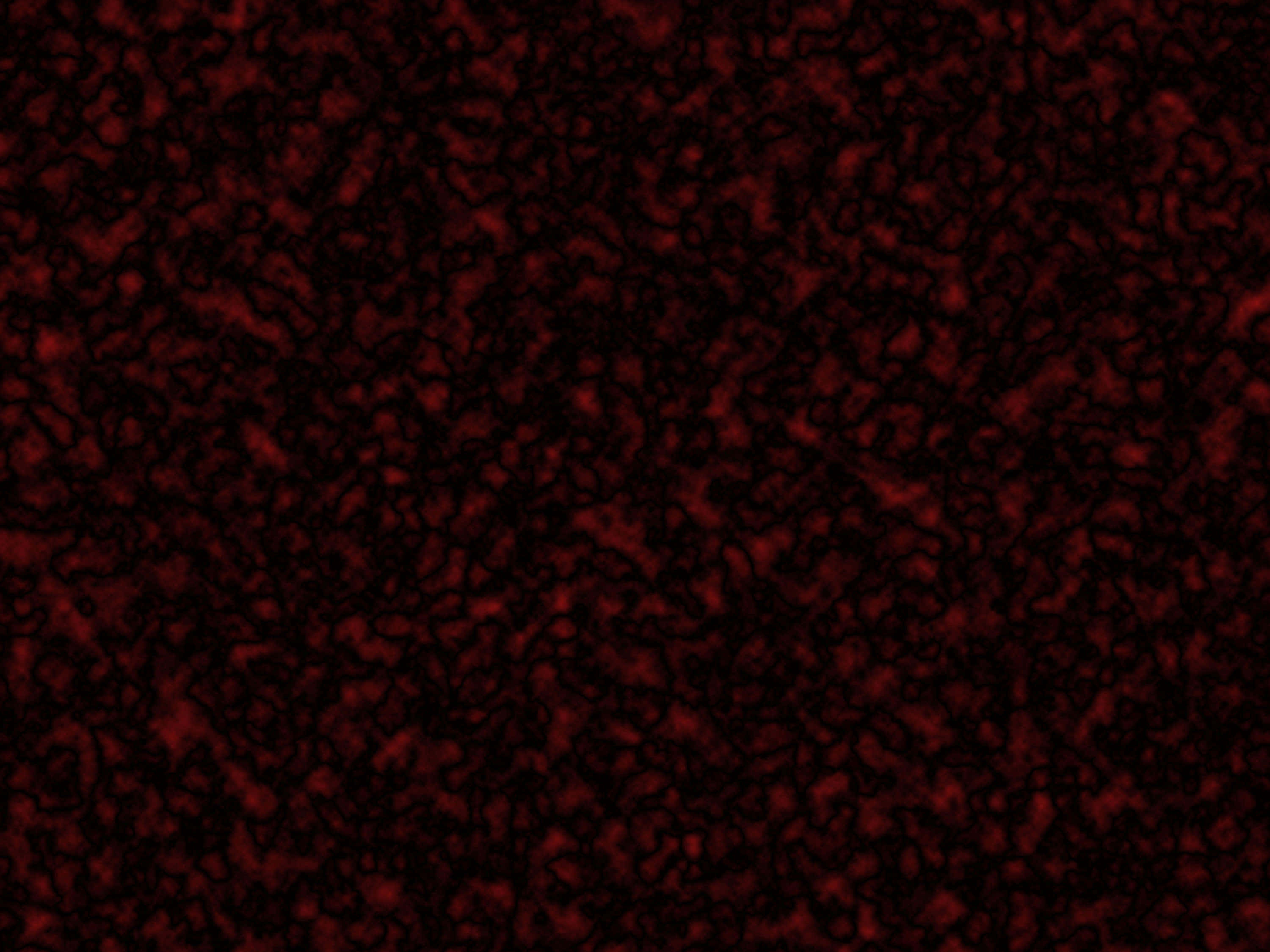 Dark Texture 桌布 壁紙 — 深紅色抽象圖案，帶有漩渦狀有機形狀，襯以黑色背景。
