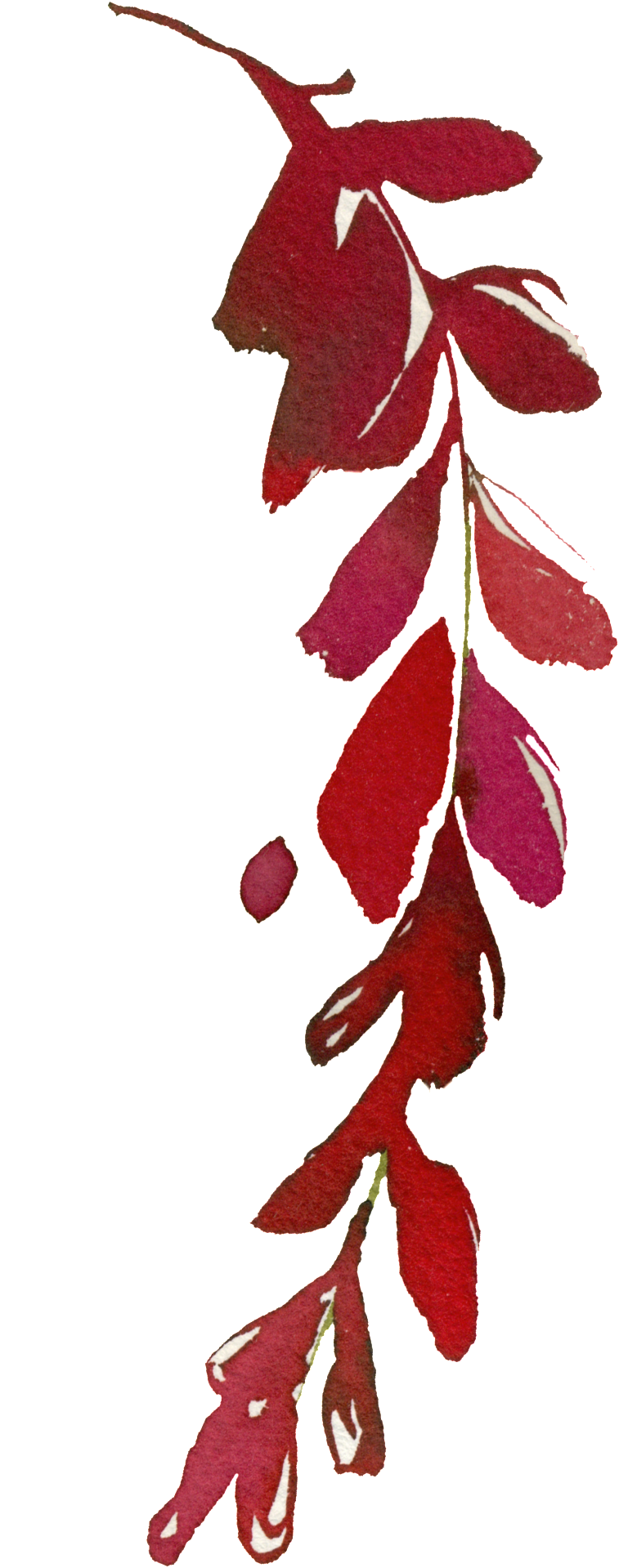 Tree Leaves 桌布 壁紙 — 深紅色水彩葉片垂直傾瀉，帶有白色高光，襯以純黑背景。