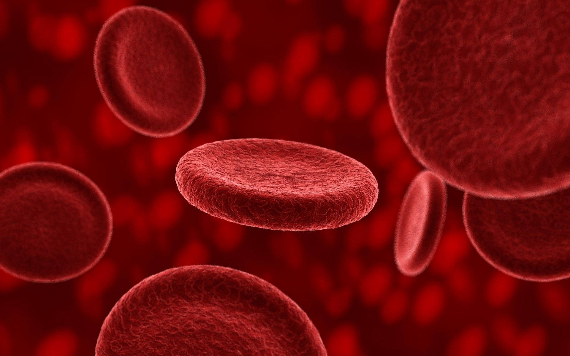 Blood 桌布 壁紙 — 深紅色液體中漂浮的紅血球特寫，背景柔和模糊。