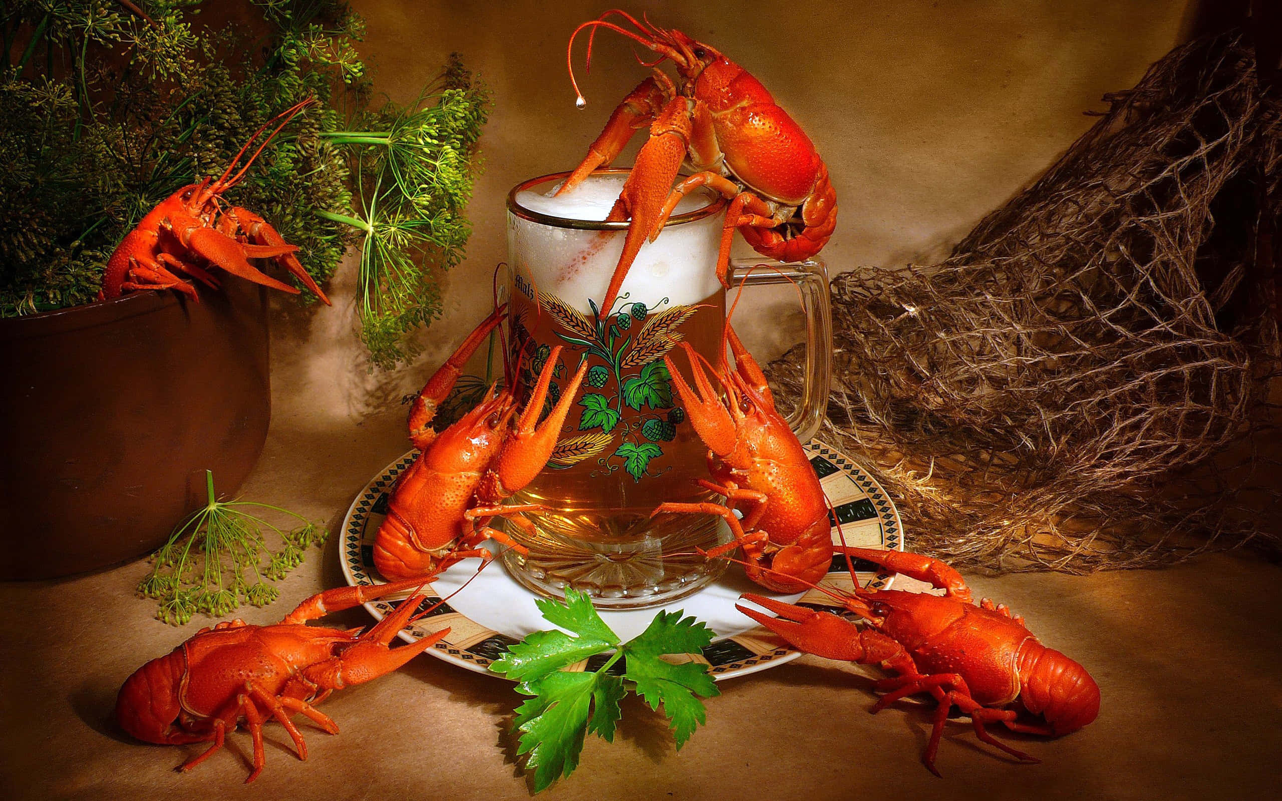 Lobster 桌布 壁紙 — 深紅色的熟龍蝦圍繞啤酒杯，在圖案盤上，搭配新鮮蒔蘿和歐芹，背景為鄉村風格。