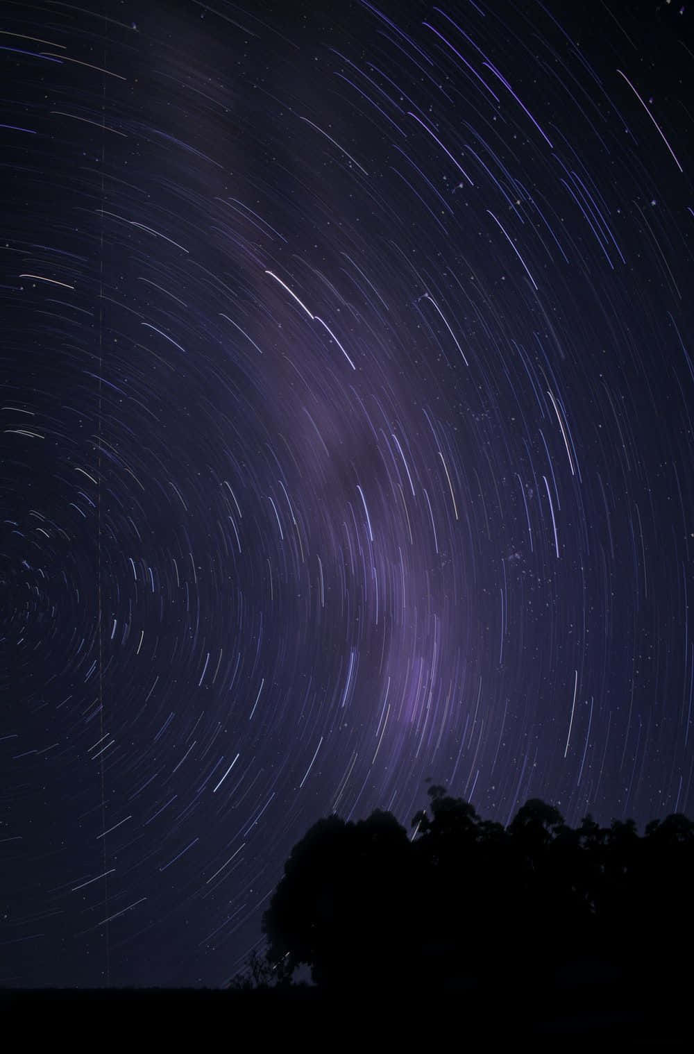 Stars 桌布 壁紙 — 深紫色夜空中，星軌在黑暗樹影上方旋轉。