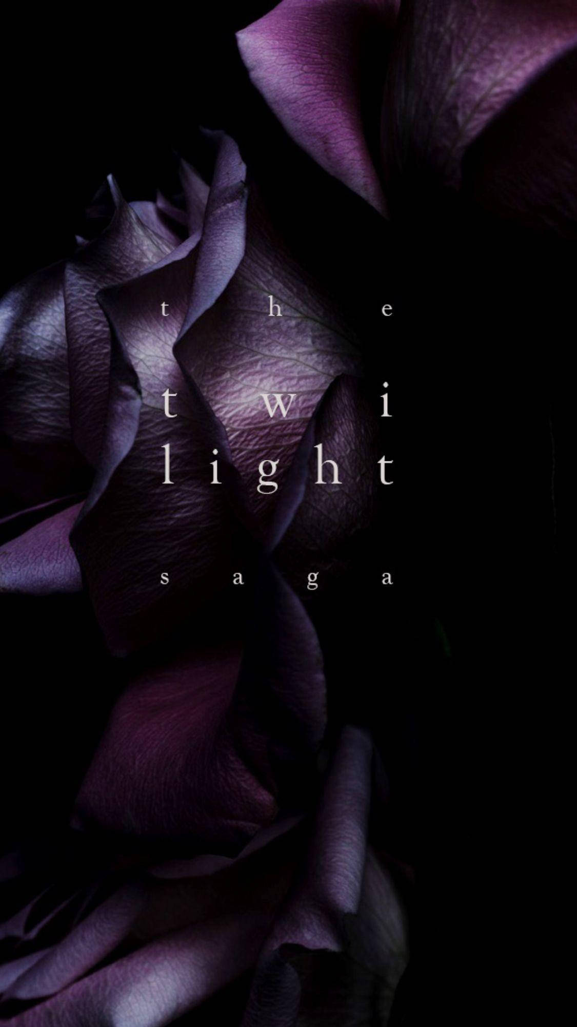 Twilight Aesthetic 桌布 壁紙 — 深紫色玫瑰的特寫，花瓣有紋理，背景為黑色，並帶有白色文字 'the twilight saga'。