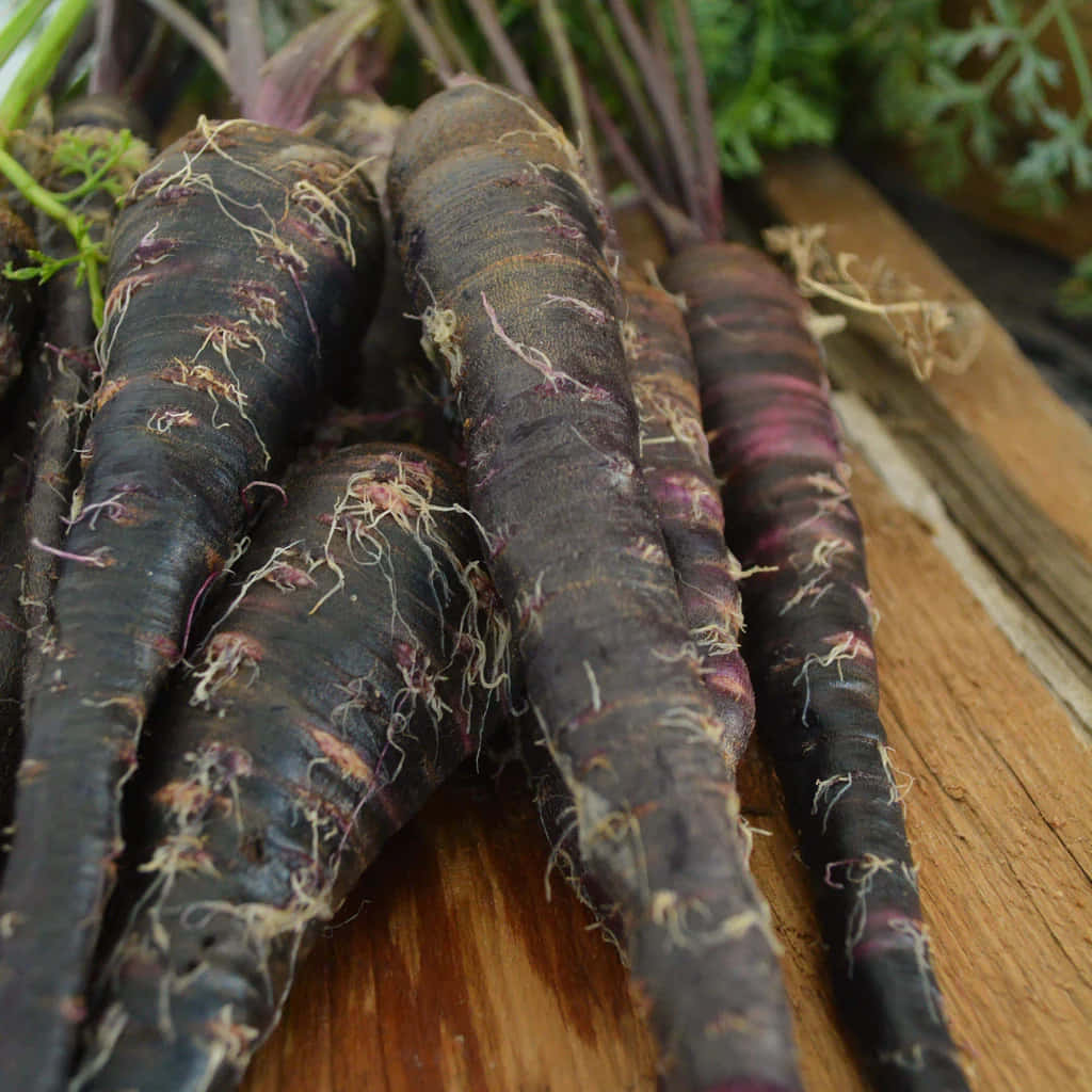 Purple Carrots 桌布 壁紙 — 深紫色的胡蘿蔔帶有泥土的根部，放在鄉村風格的木質表面上，周圍有綠色的樹葉。
