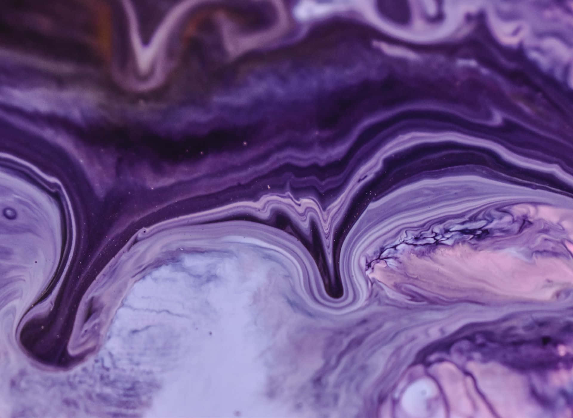 Violet 桌布 壁紙 — 深紫色薰衣草和白色的鮮豔漩渦圖案，創造出迷人的抽象流體藝術構圖。