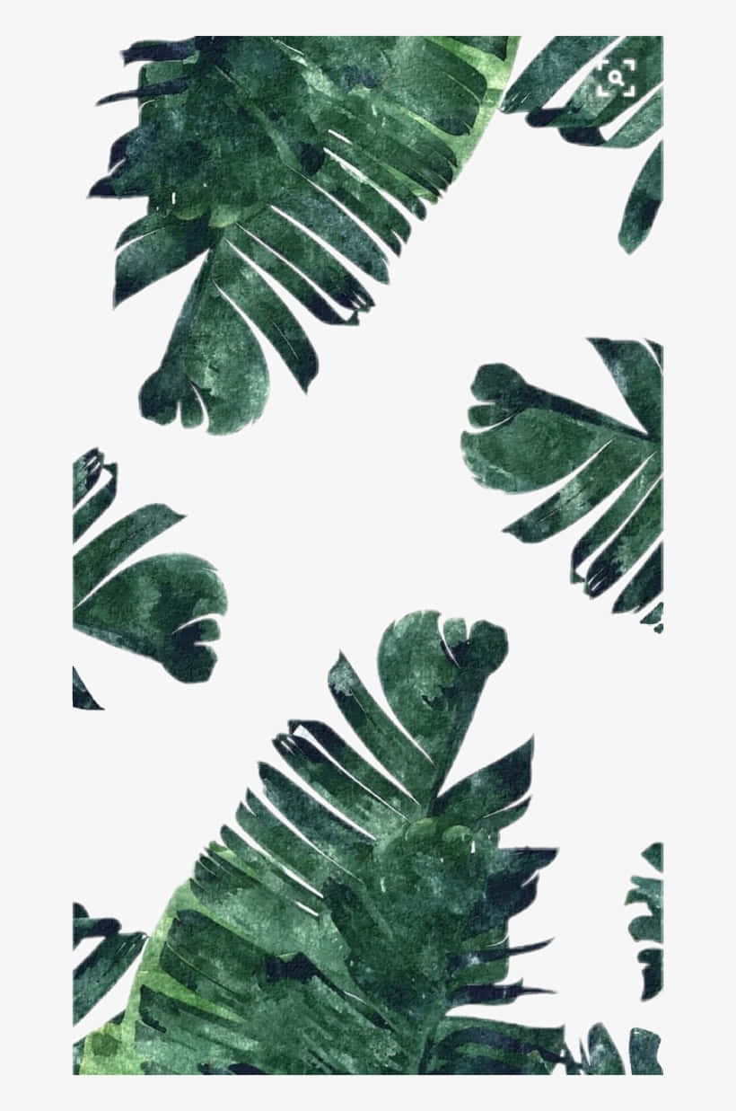 Aesthetic Leaf 桌布 壁紙 — 深綠色水彩渲染的大型熱帶葉片漂浮在純白背景上。