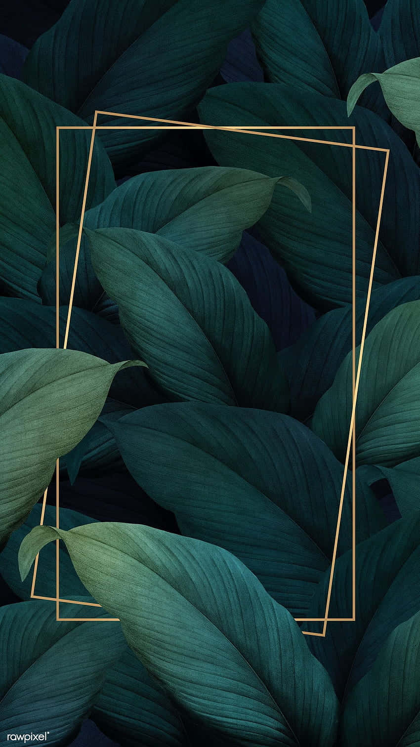 Aesthetic Palm Leaves 桌布 壁紙 — 深綠色熱帶葉片搭配金色幾何框架，營造出茂盛的現代植物壁紙。