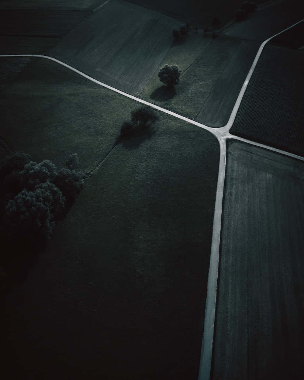Dark Crossroad 桌布 壁紙 — 深綠色田野的鳥瞰圖，被蜿蜒的道路分割，散落的樹木投下長長的陰影。