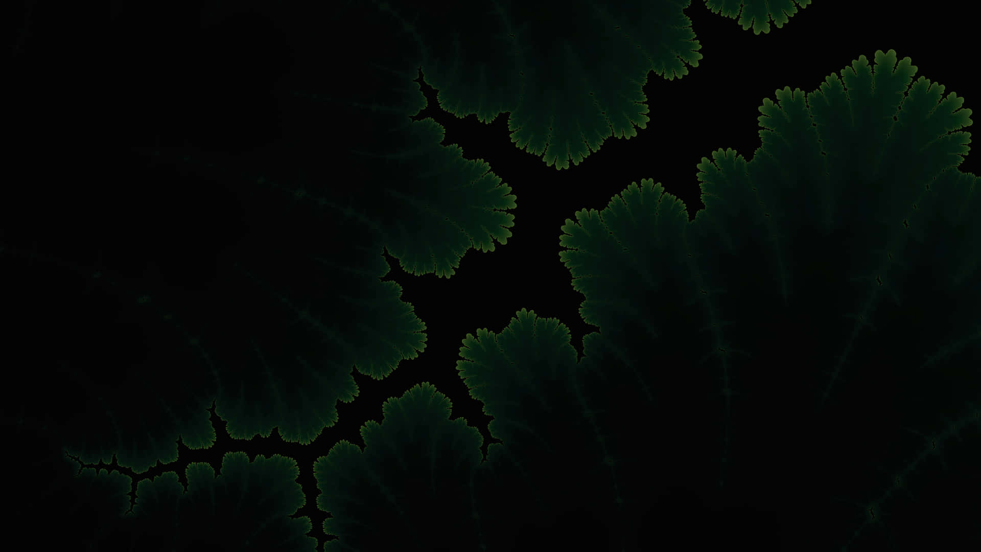 1080p Amoled 桌布 壁紙 — 深綠色碎形圖案在黑色背景上發光，帶有複雜的分支細節。