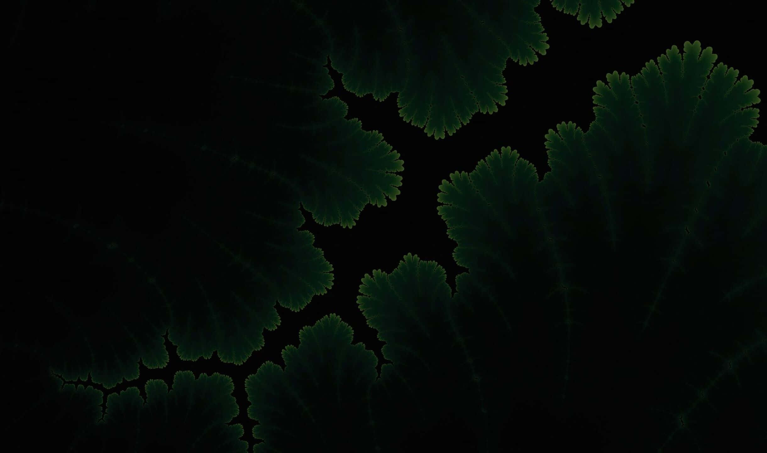 Branches 桌布 壁紙 — 深綠色碎形葉片圖案在黑色背景上微弱發光，呈現迷人的數位藝術作品。