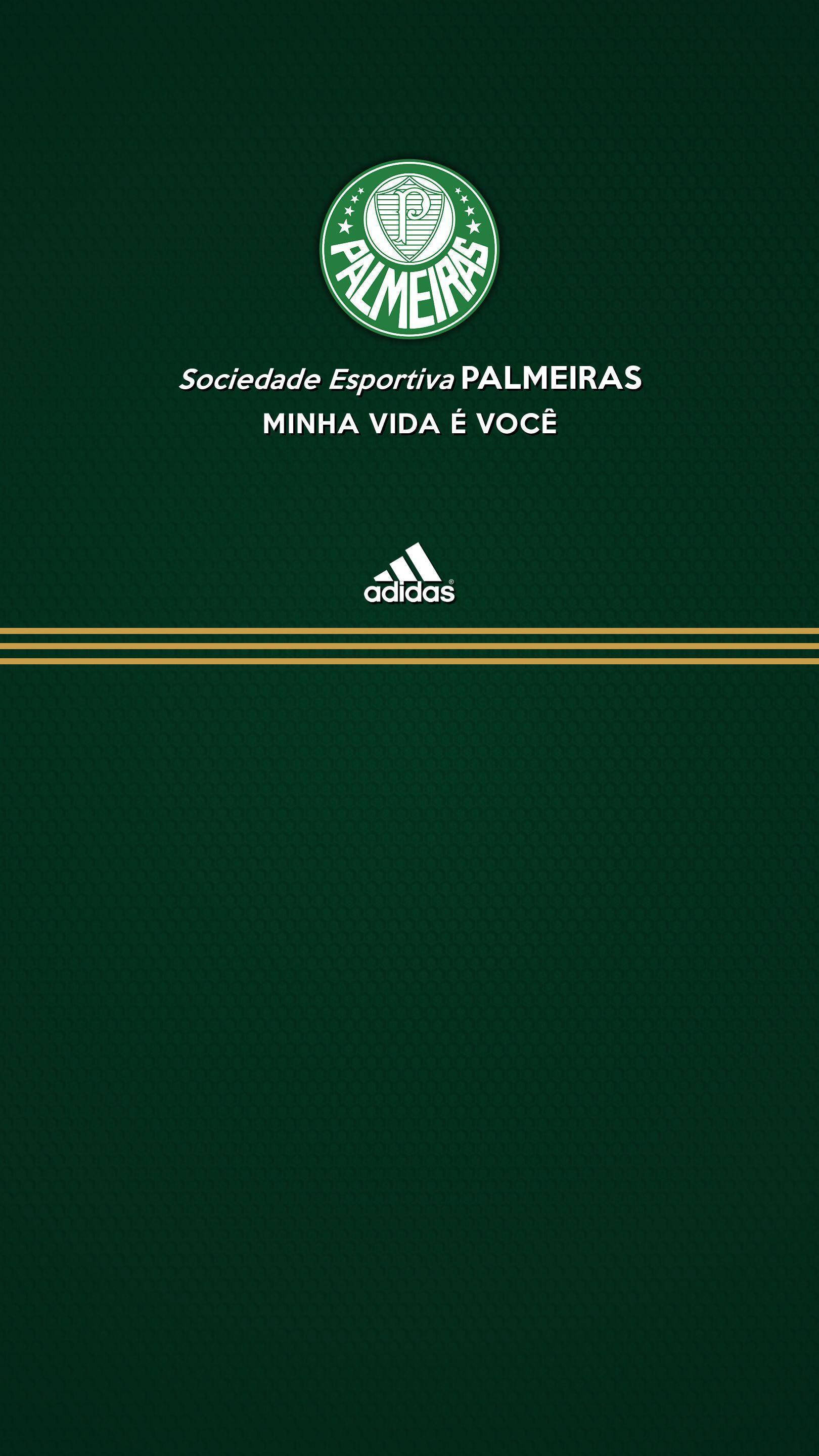 Palmeiras 桌布 壁紙 — 深綠色紋理壁紙，帶有帕爾梅拉斯俱樂部徽章、白色文字和金色條紋的Adidas標誌。
