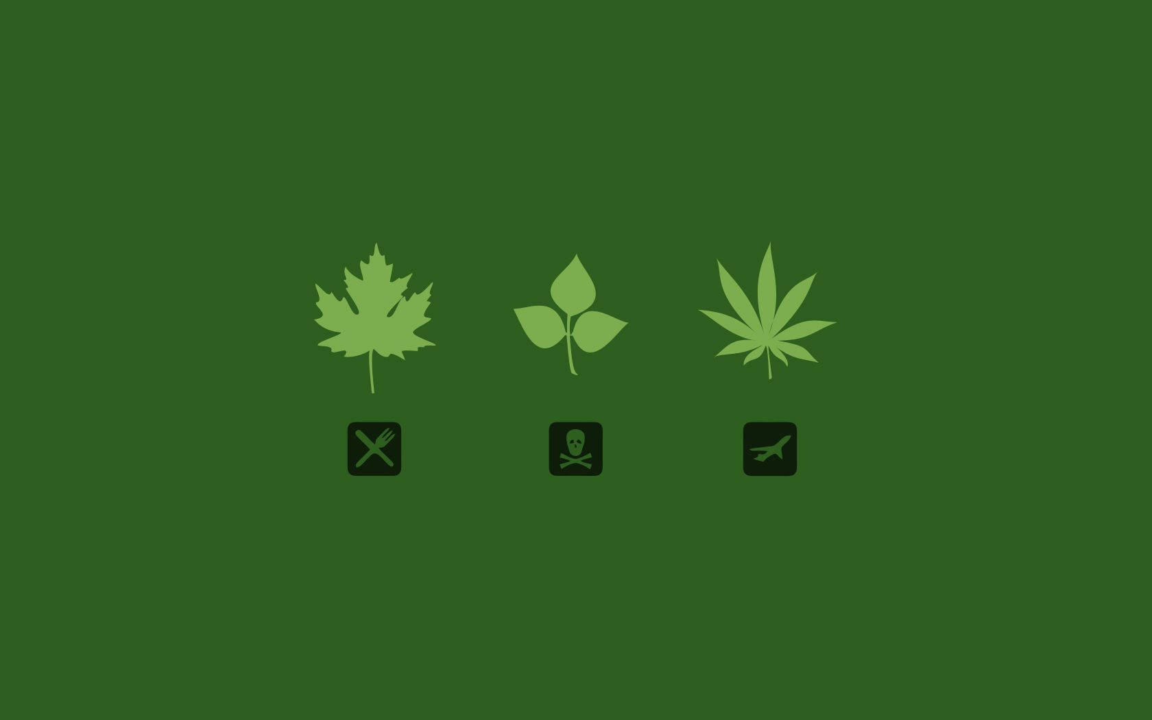 大麻 桌布 壁紙 — 深綠色背景上的三個綠色葉子圖標，每個下方有一個黑色符號